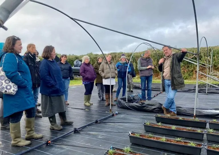 St Martin’s Farm Walk