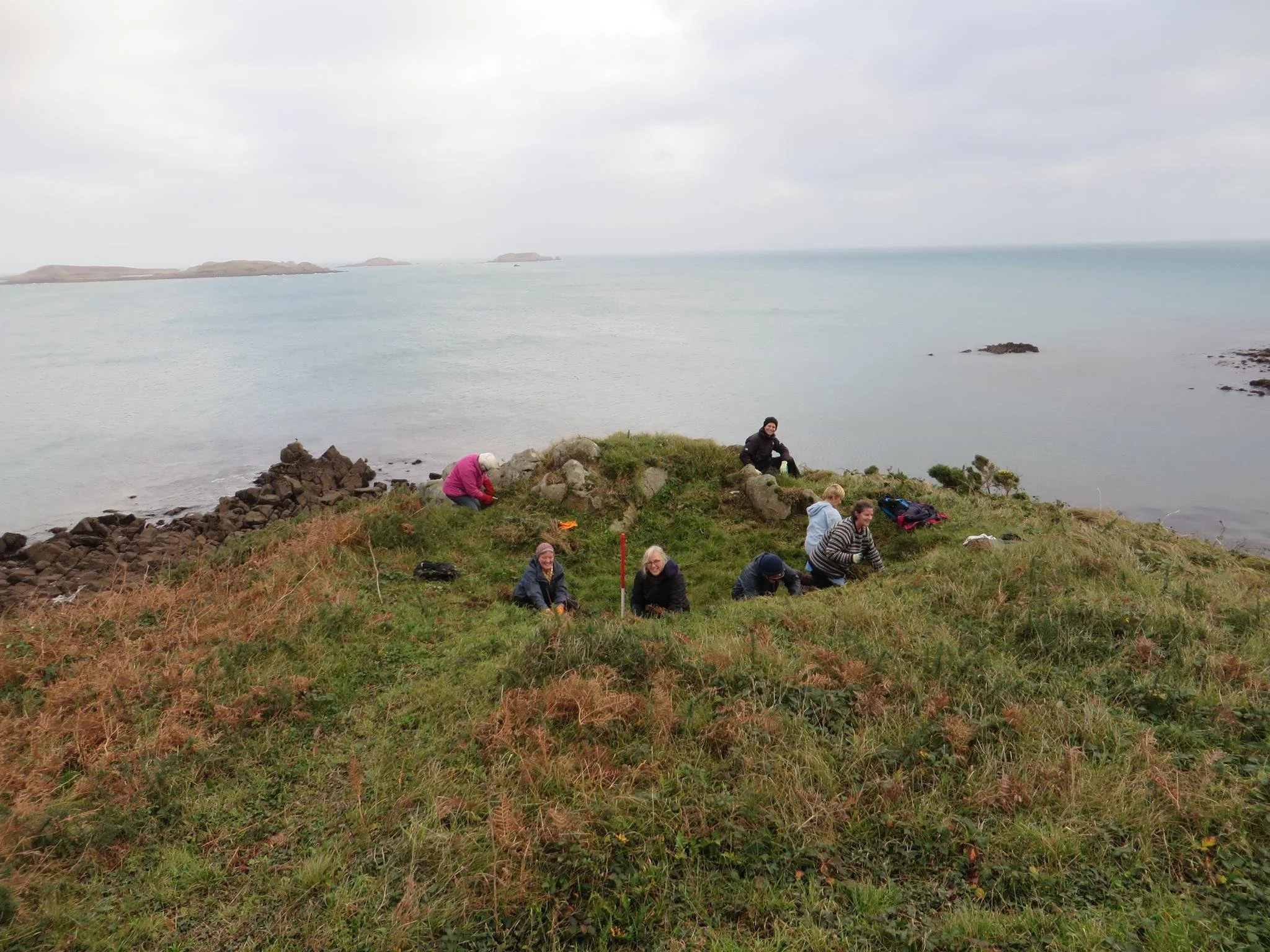 CAG - Toll’s Island