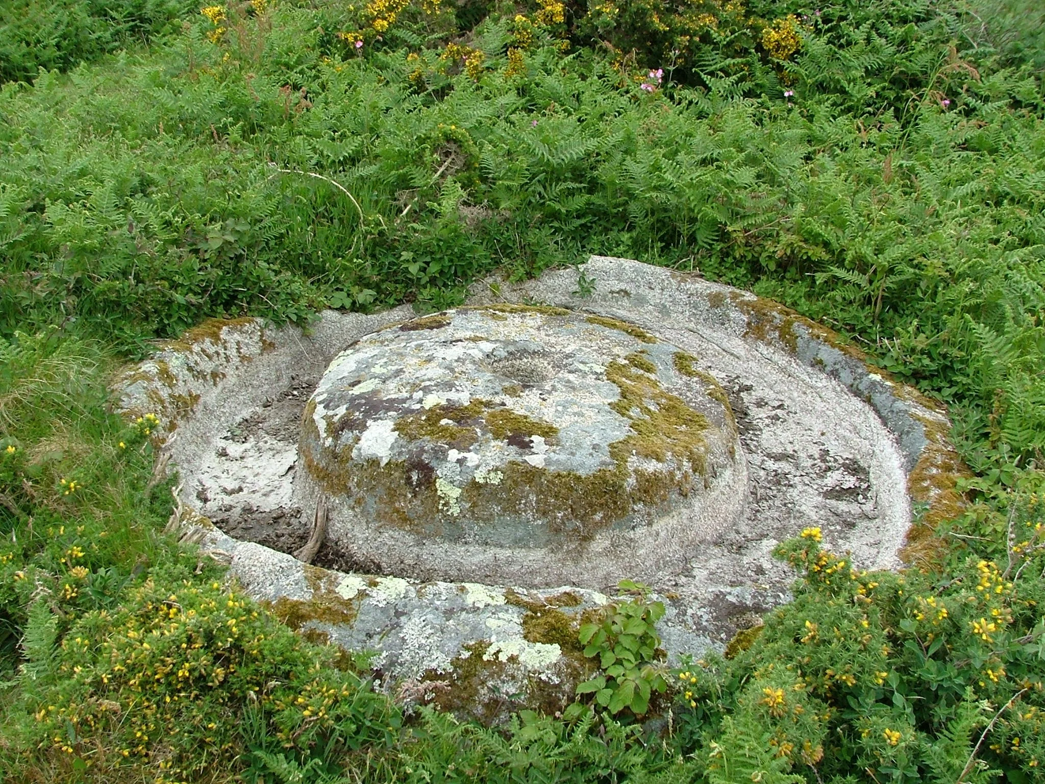 CAG - Tresco Walk
