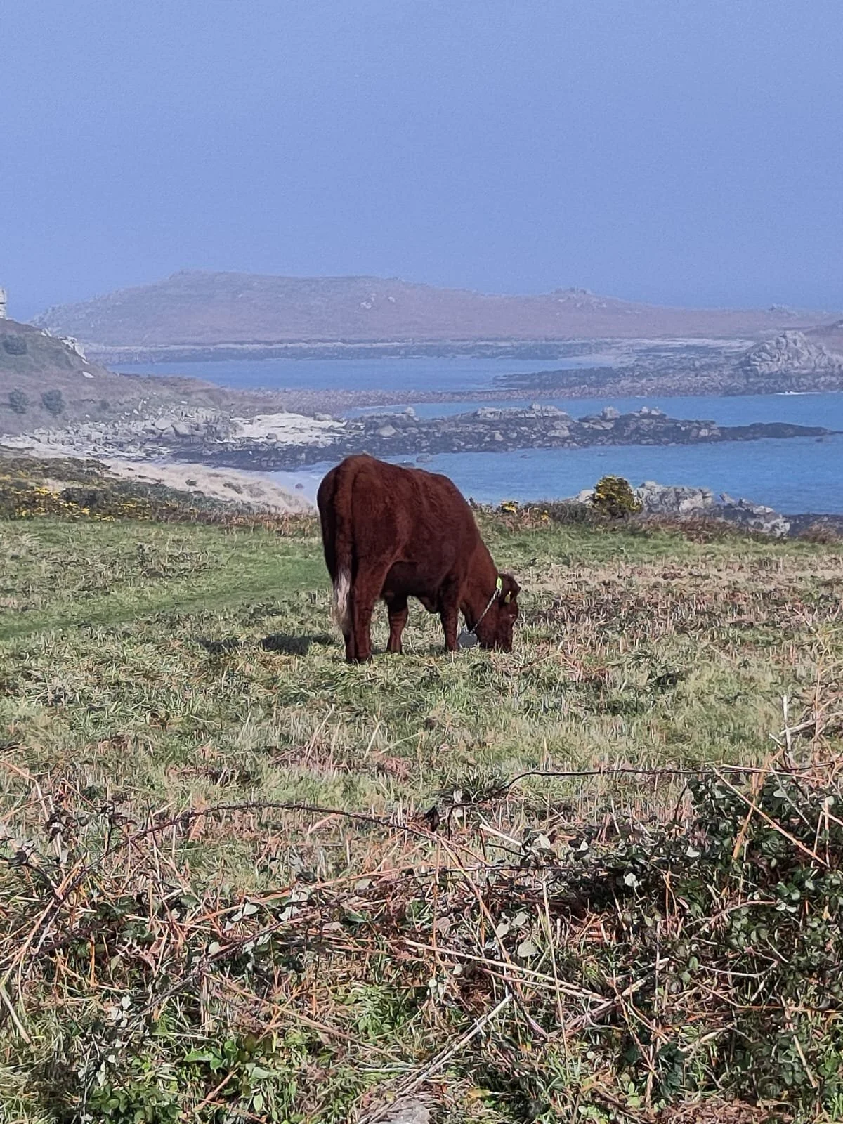 Community Representative Recruitment 