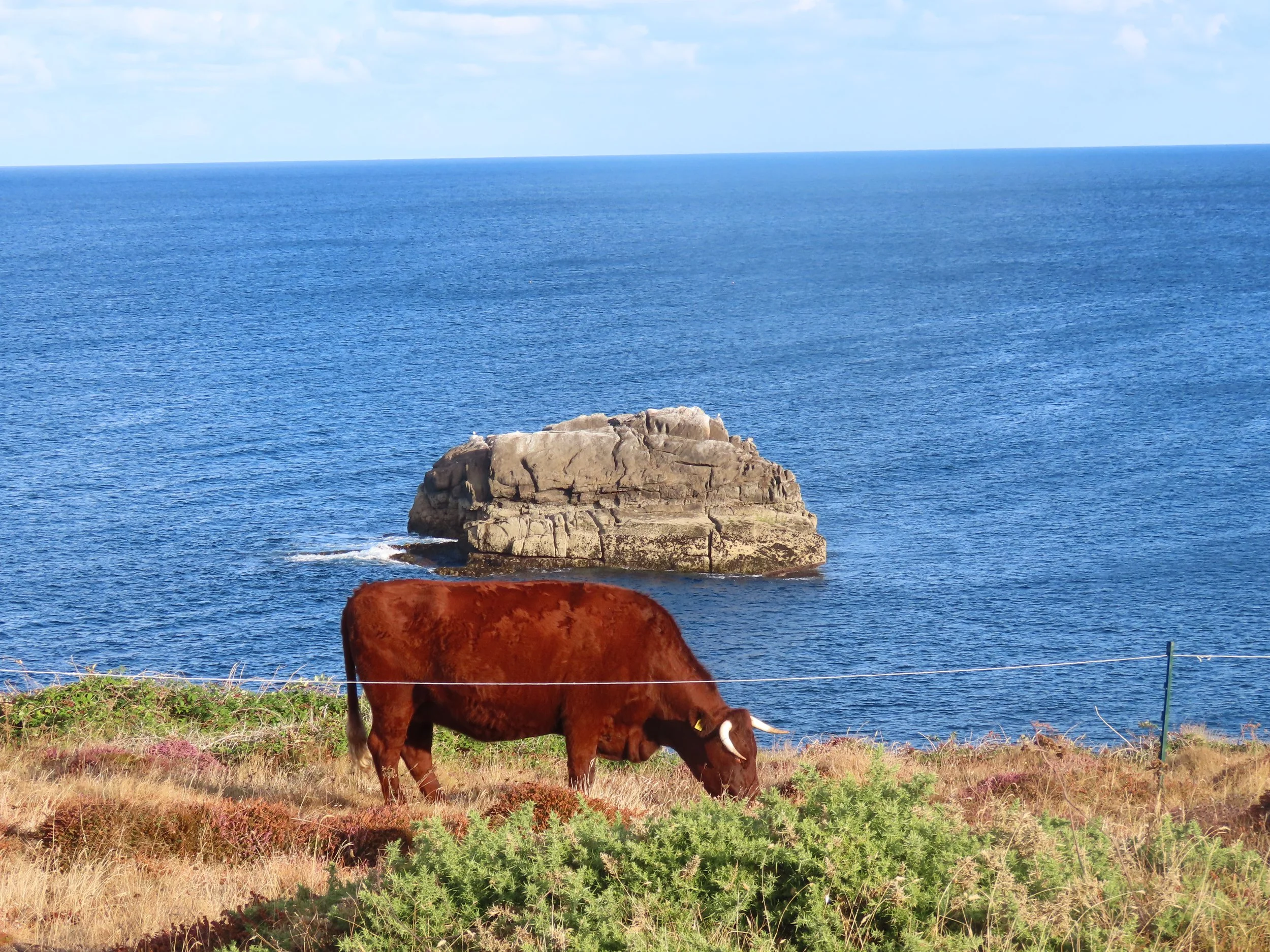 Drought: Impacts on Farming &amp; Agriculture
