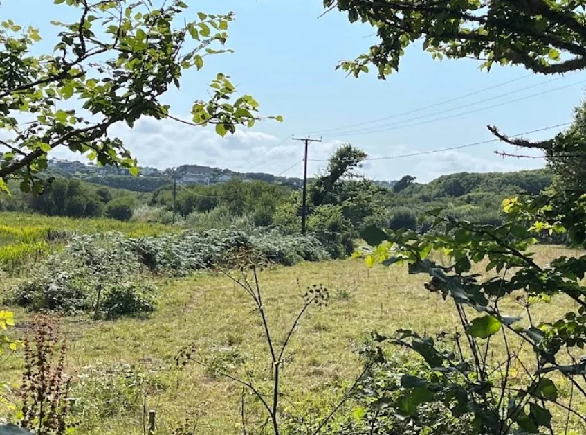 Lower Moors Powerlines Consultation