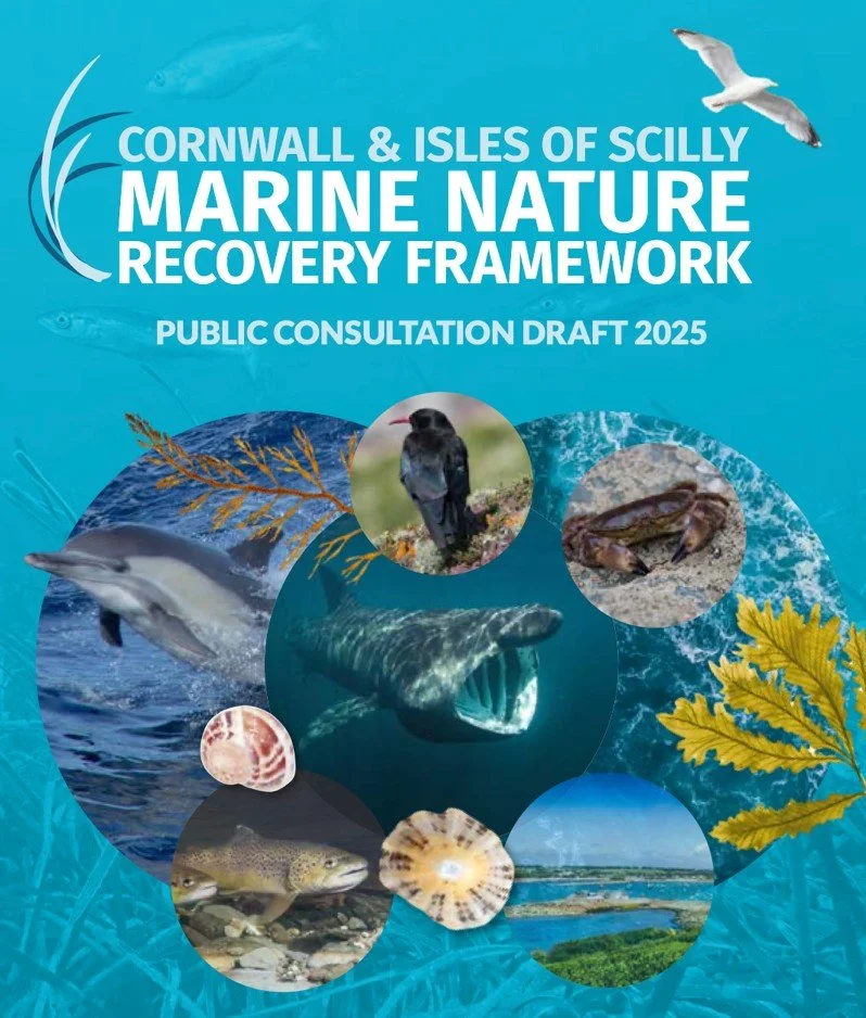 Cornwall & Isles of Scilly Marine Nature Recovery Framework Consultation