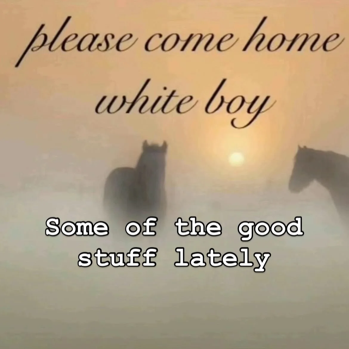 Here are some of the happy things from the last couple of months 🖤🌞 stay safe and love your neighbors ✨🫶

Drawings, doodles, painting, embroidery, adventure, etc.