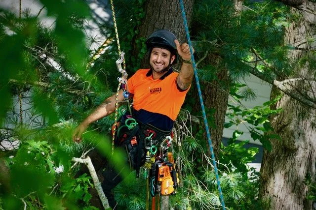 A man wearing a black helmet and orange shirt smiling while sitting in a tree with climbing gear, surrounded by green leaves.