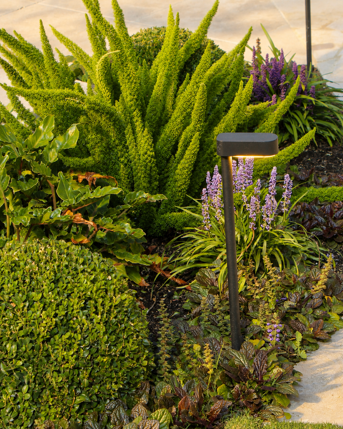 Garden Lighting_2.png
