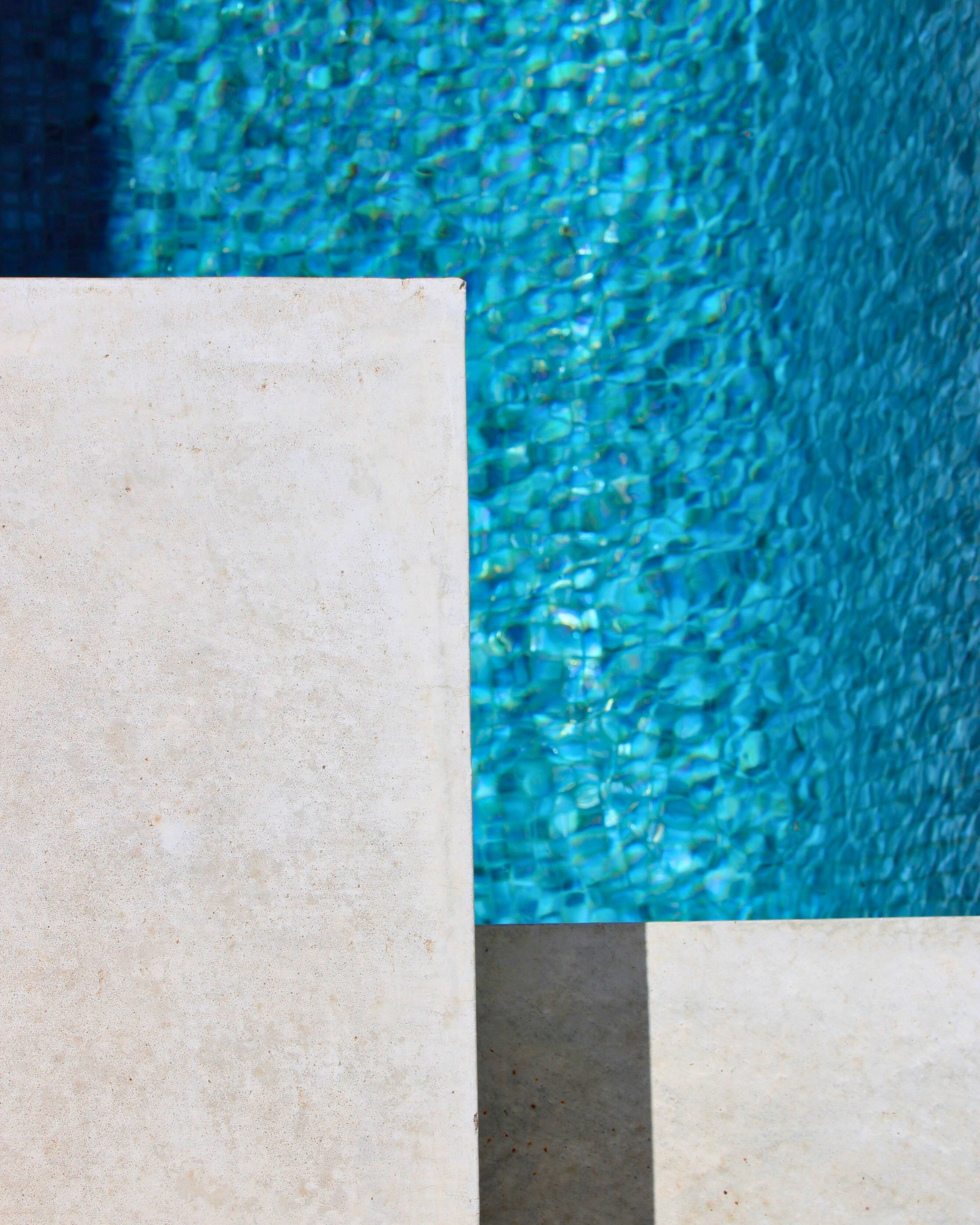 Landscaping Trends We're Seeing in High-End Melbourne Homes