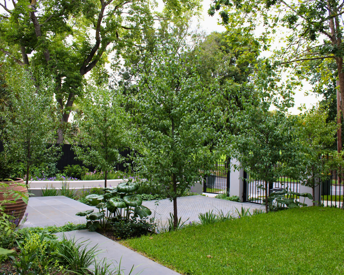 Luxury Landscaping Toorak