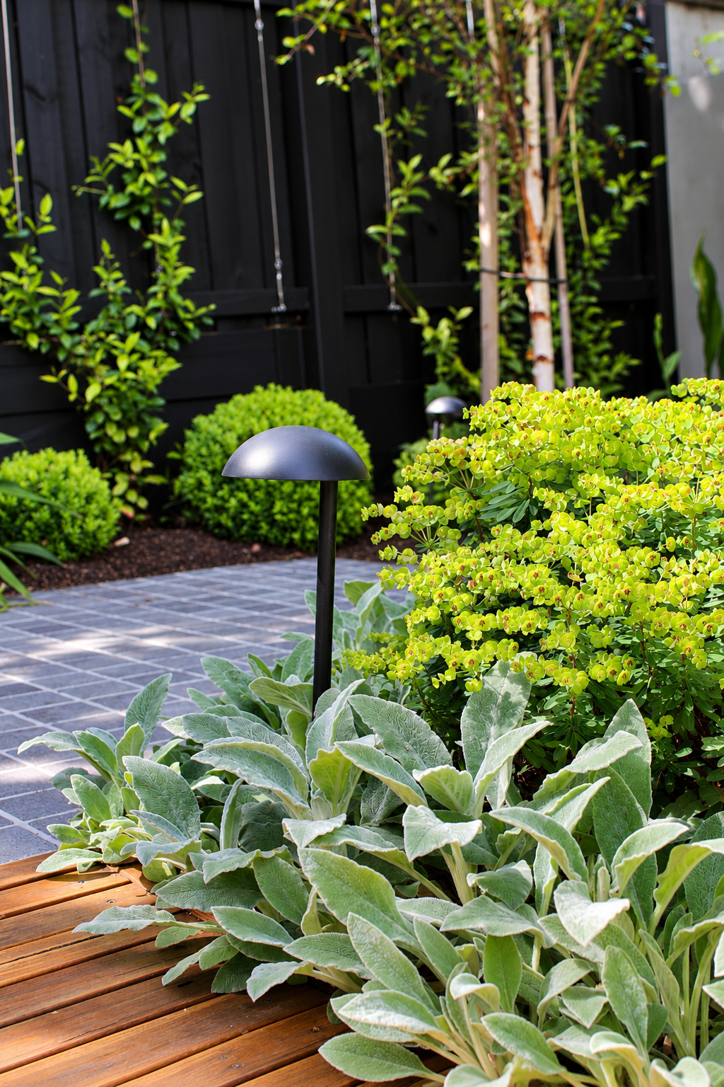 Hawthorn_Oak Street_13.png