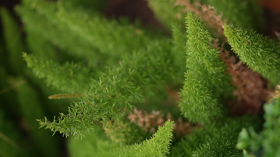 Youtube Thumbnail_3.png