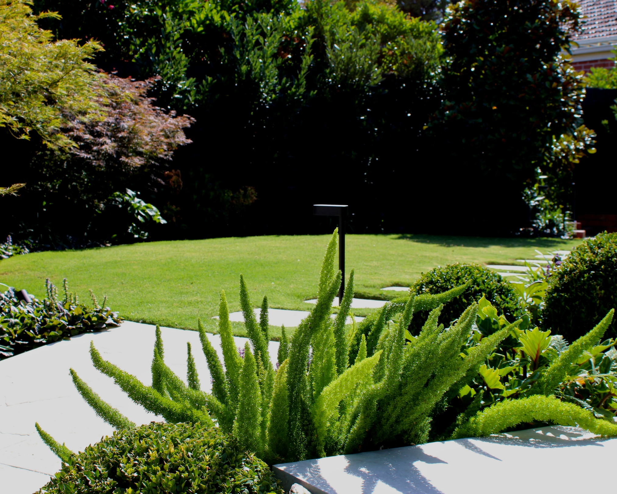 A lush green backyard garden with various plants, shrubbery, and a small ornamental grass in the foreground, with a well-maintained lawn and part of a brick house visible in the background.
