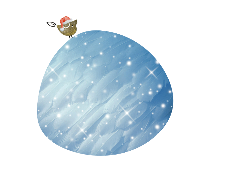 Schachtelgeschichte Weihnachtsbohnen (Kopie)