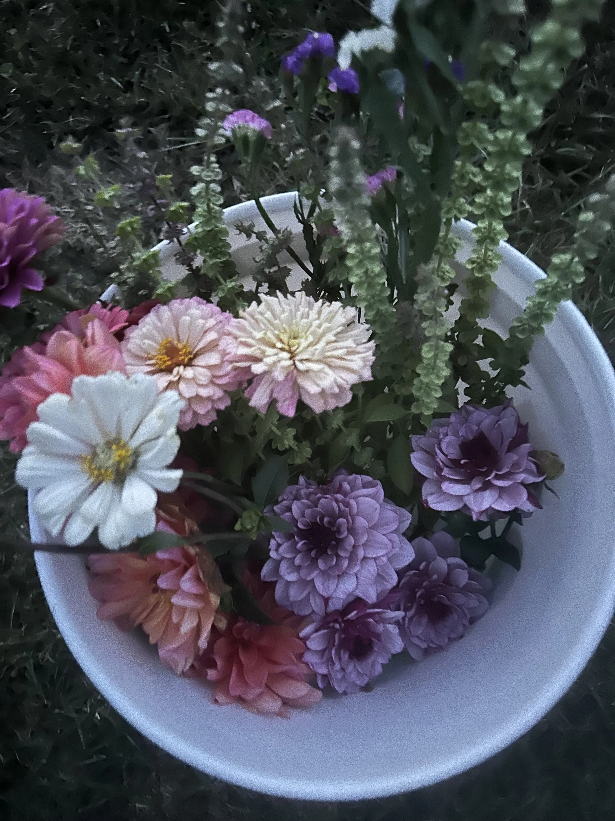 purple pink and white flower bucket