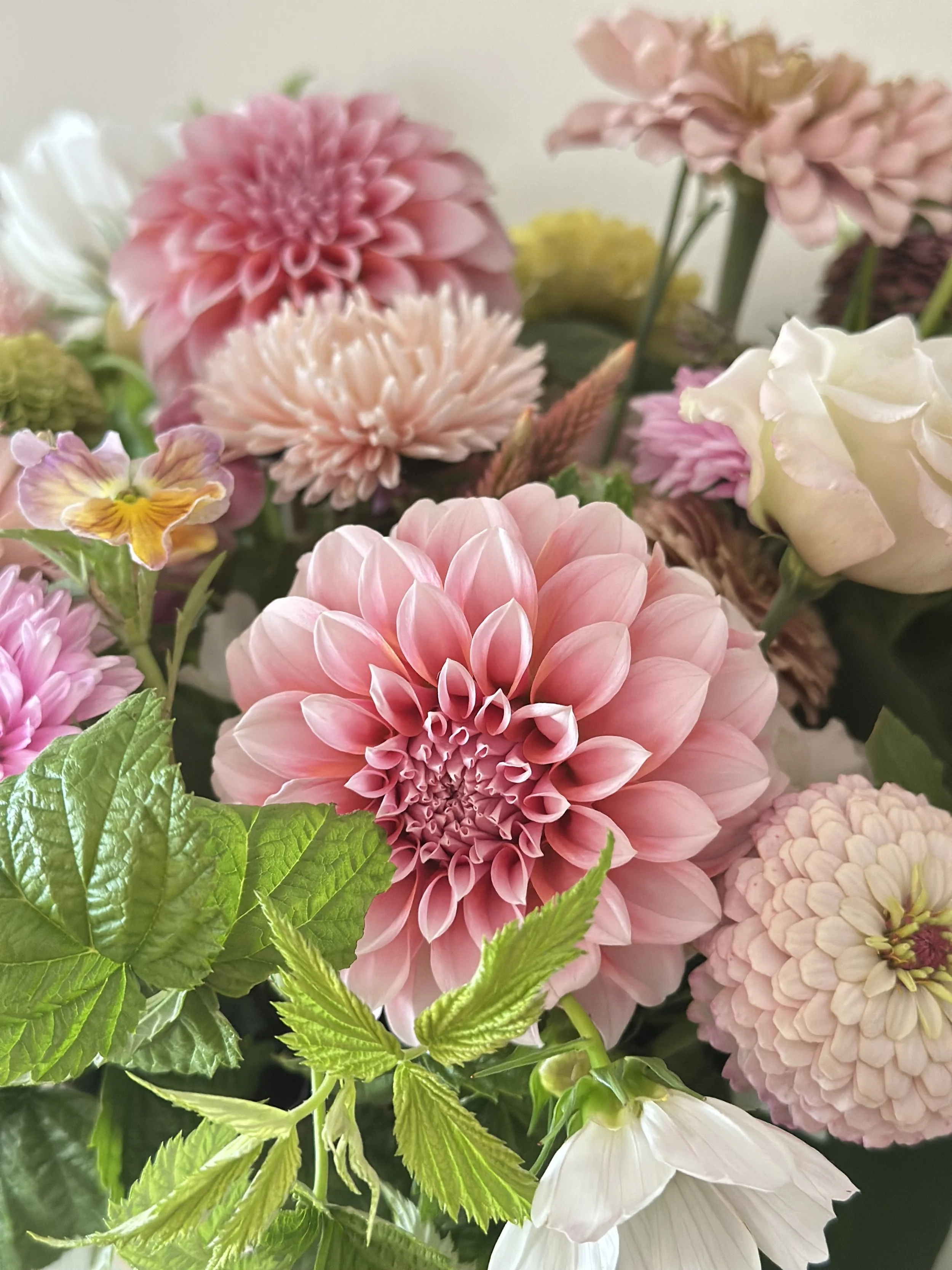 Close-up of various colorful flowers including pink dahlias, white roses, pale peach and pink chrysanthemums, and green foliage.