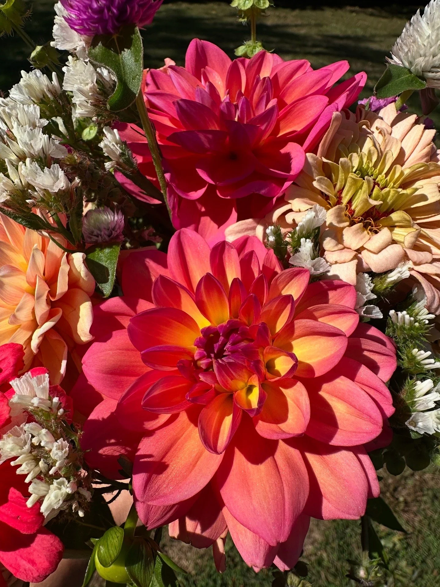 dahlia mixed bouquet