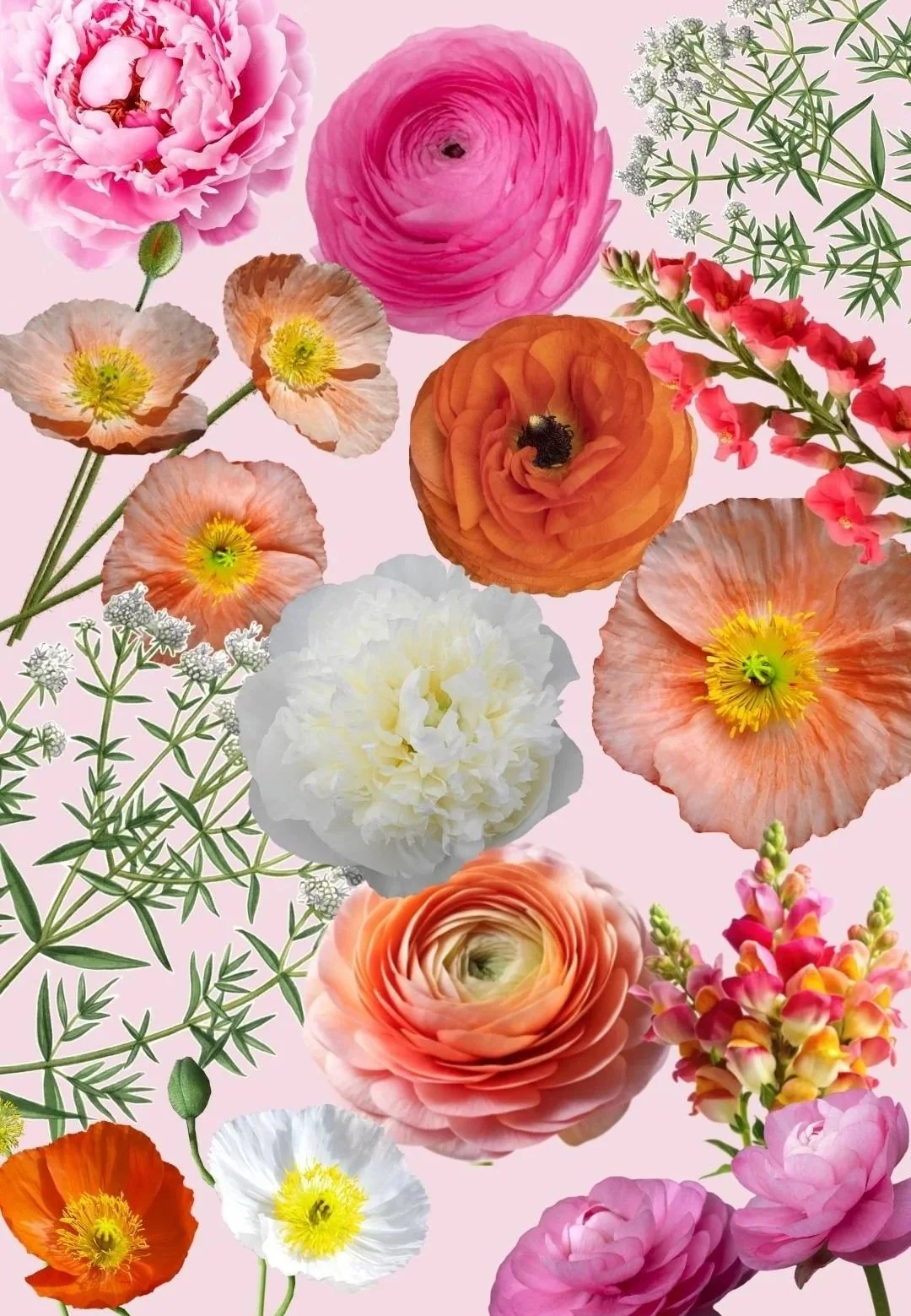 collage of spring flowers peonies ranunculus mint snapdragon iceland poppies
