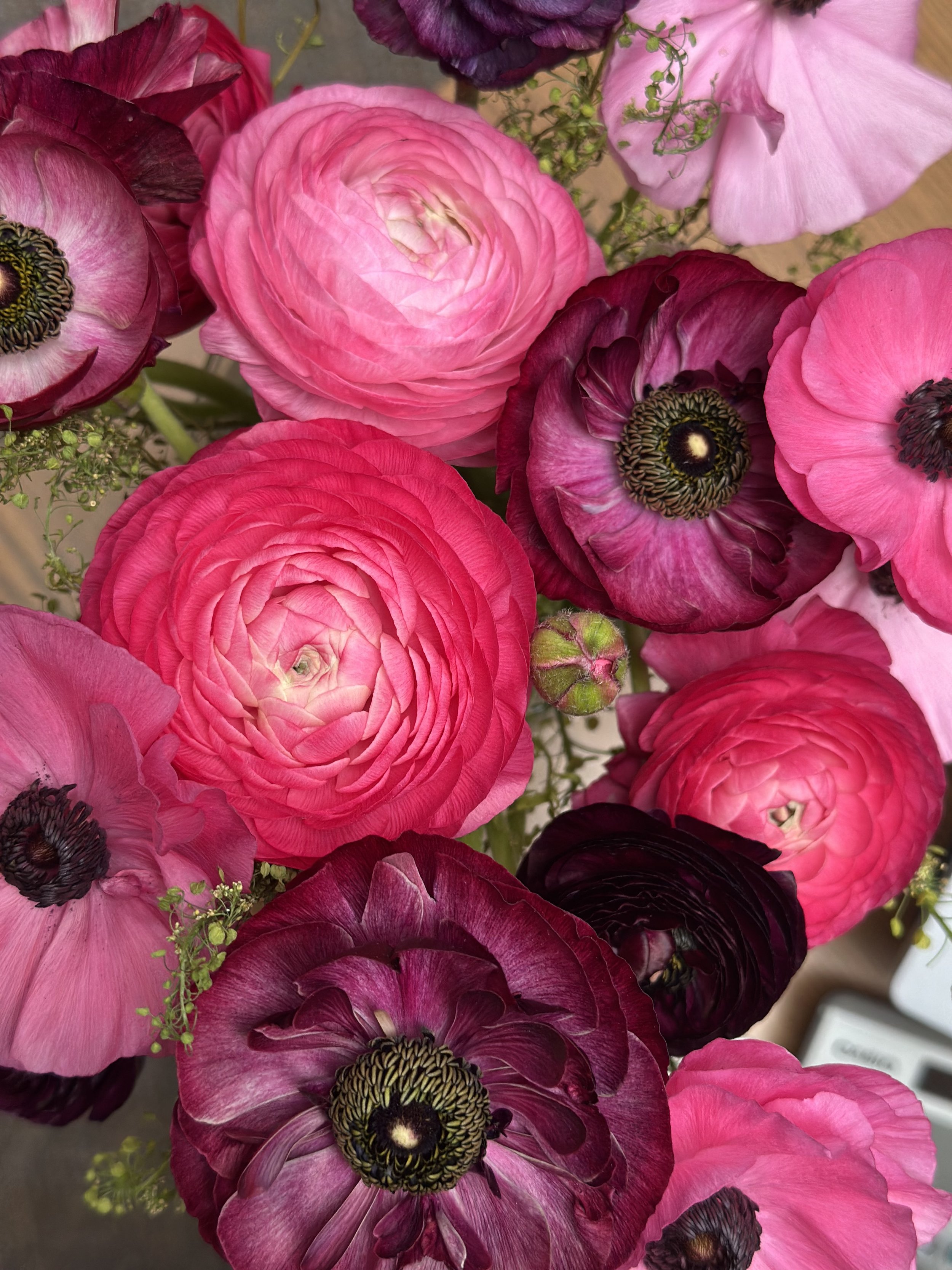 Close-up of a bouquet of vibrant pink and burgundy flowers, including ranunculus and anemones, with some small green foliage.