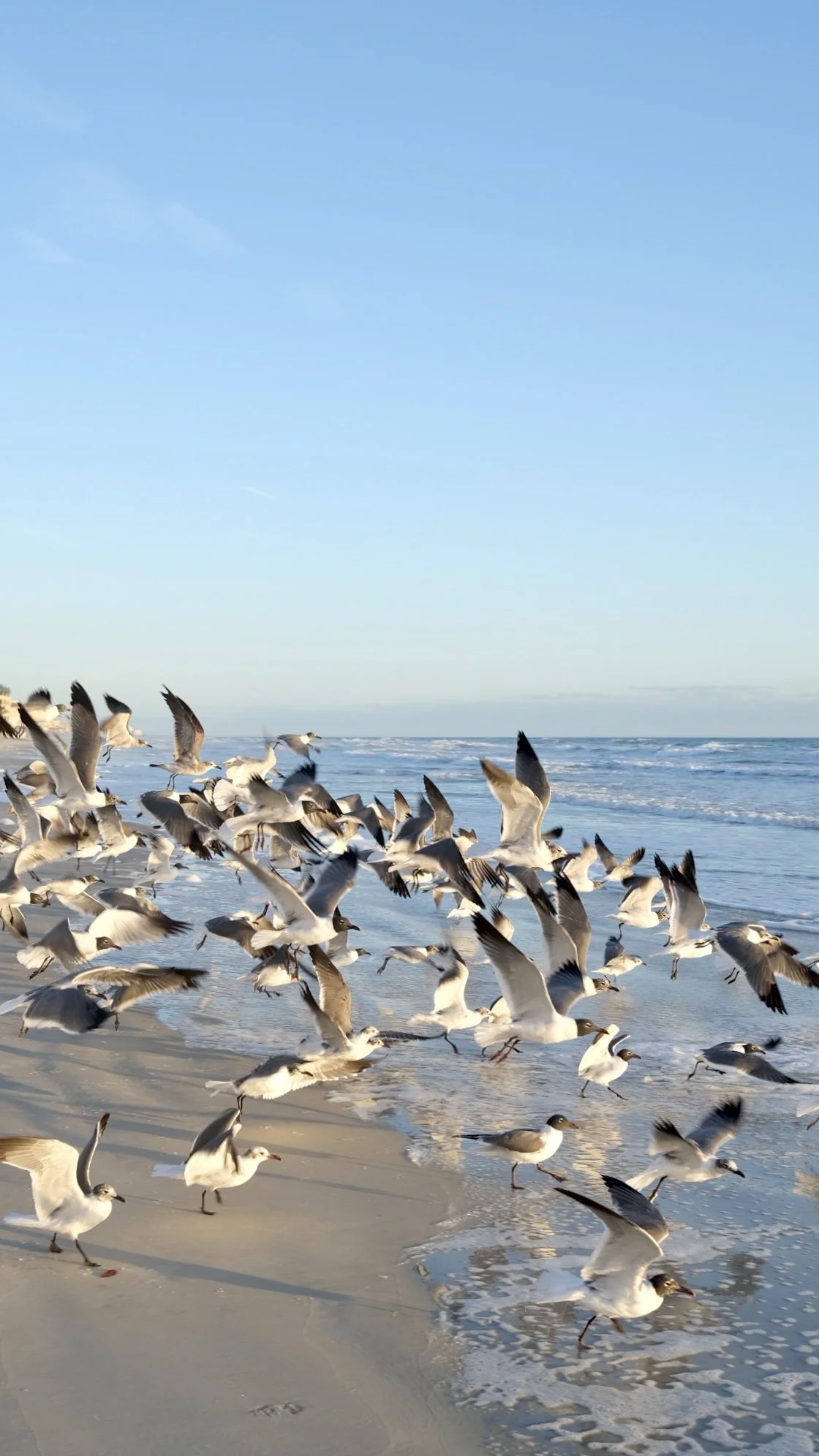 New Smyrna Beach, Florida