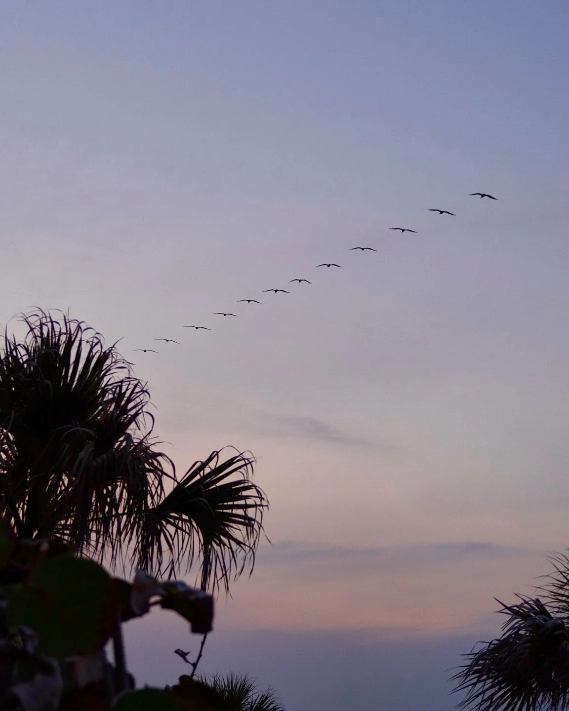 New Smyrna Beach, Florida