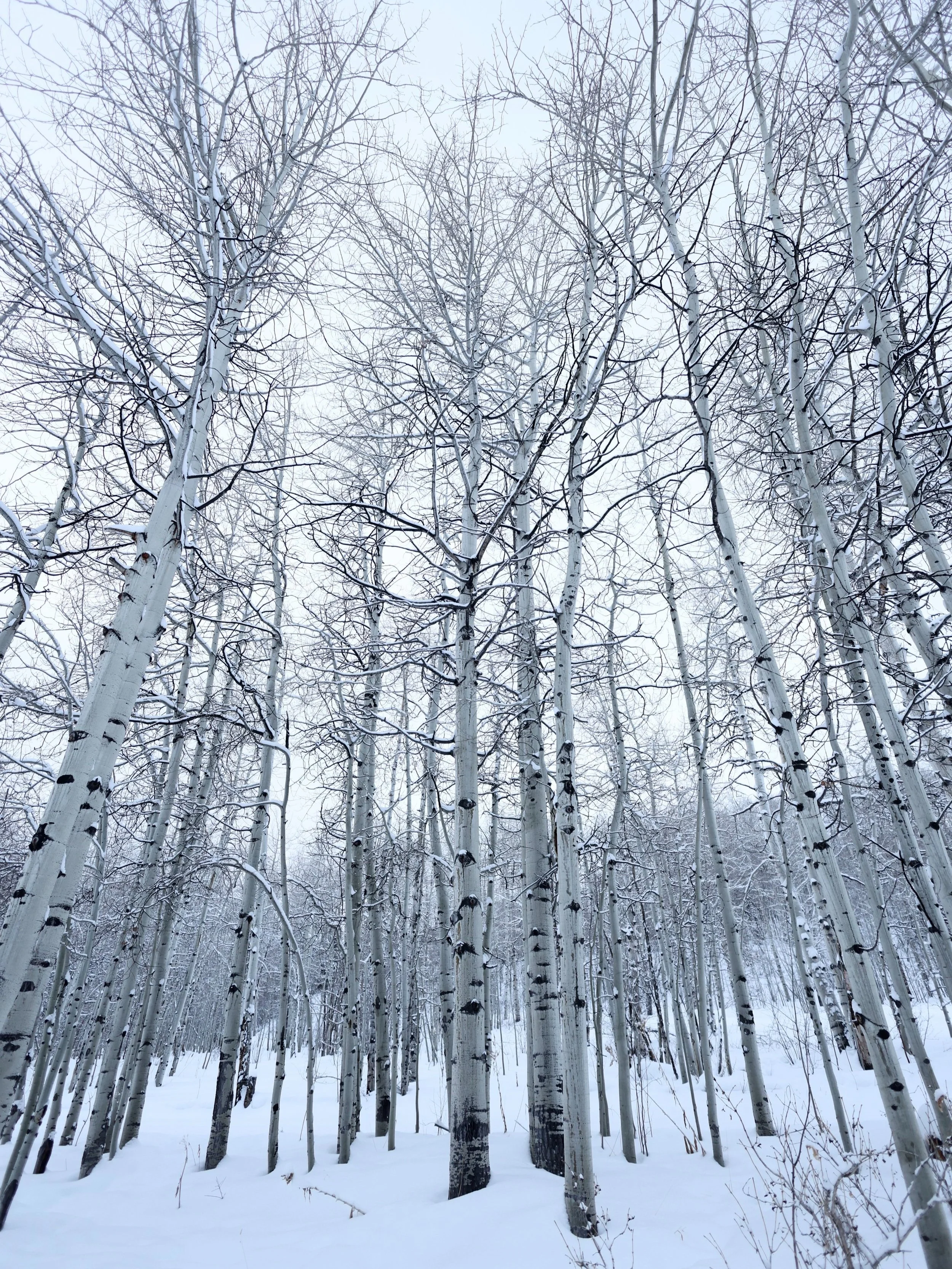 Snowmass Village, Colorado