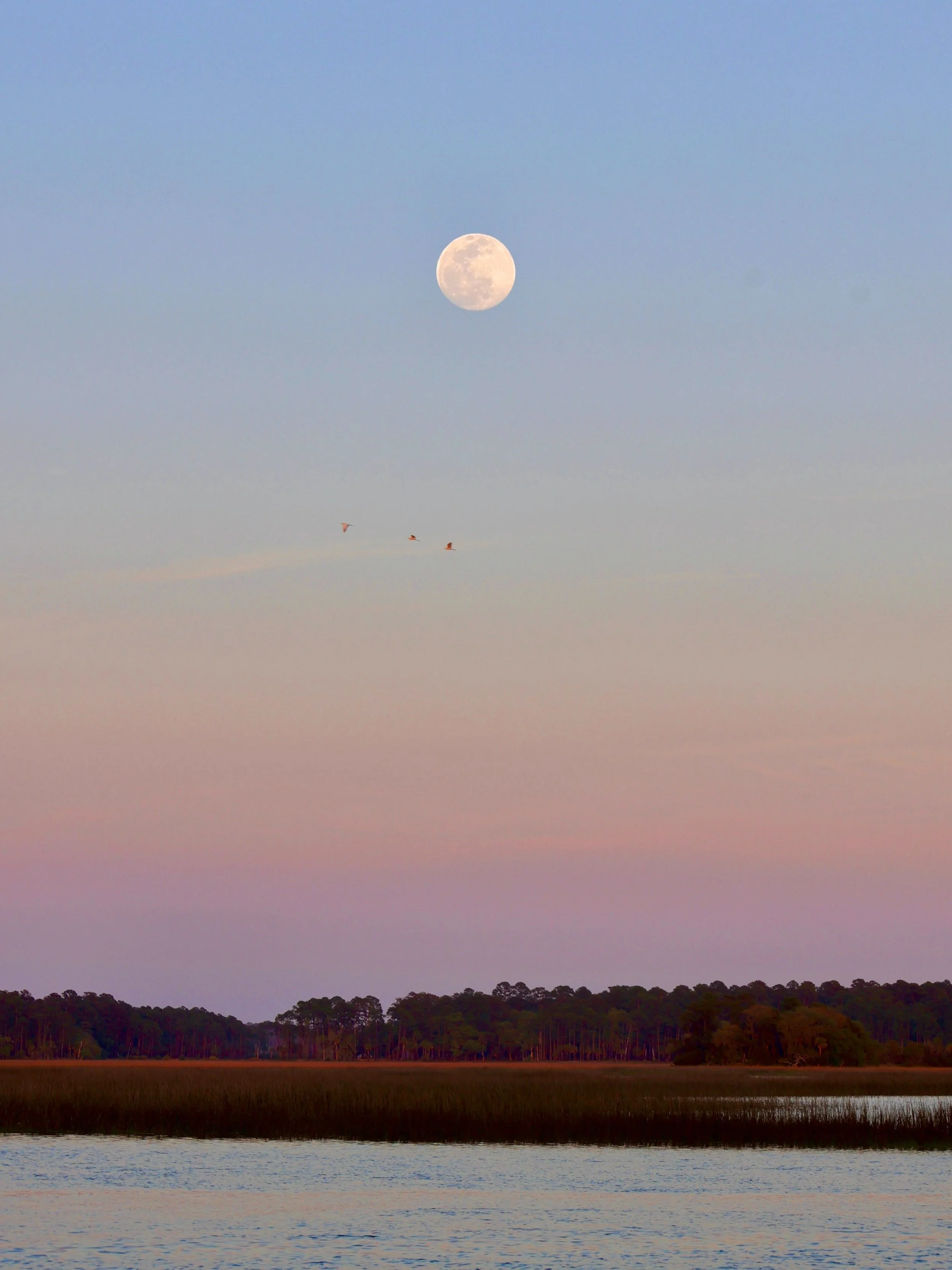 Bluffton, South Carolina