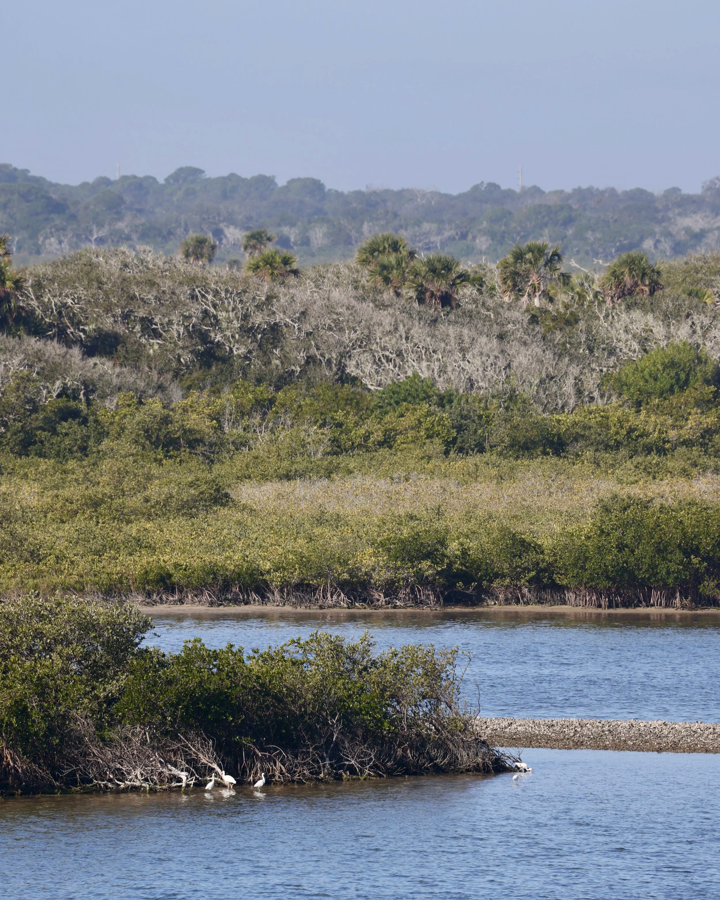 A river with surrounding bushes and trees, with some birds and distant hills in the background.