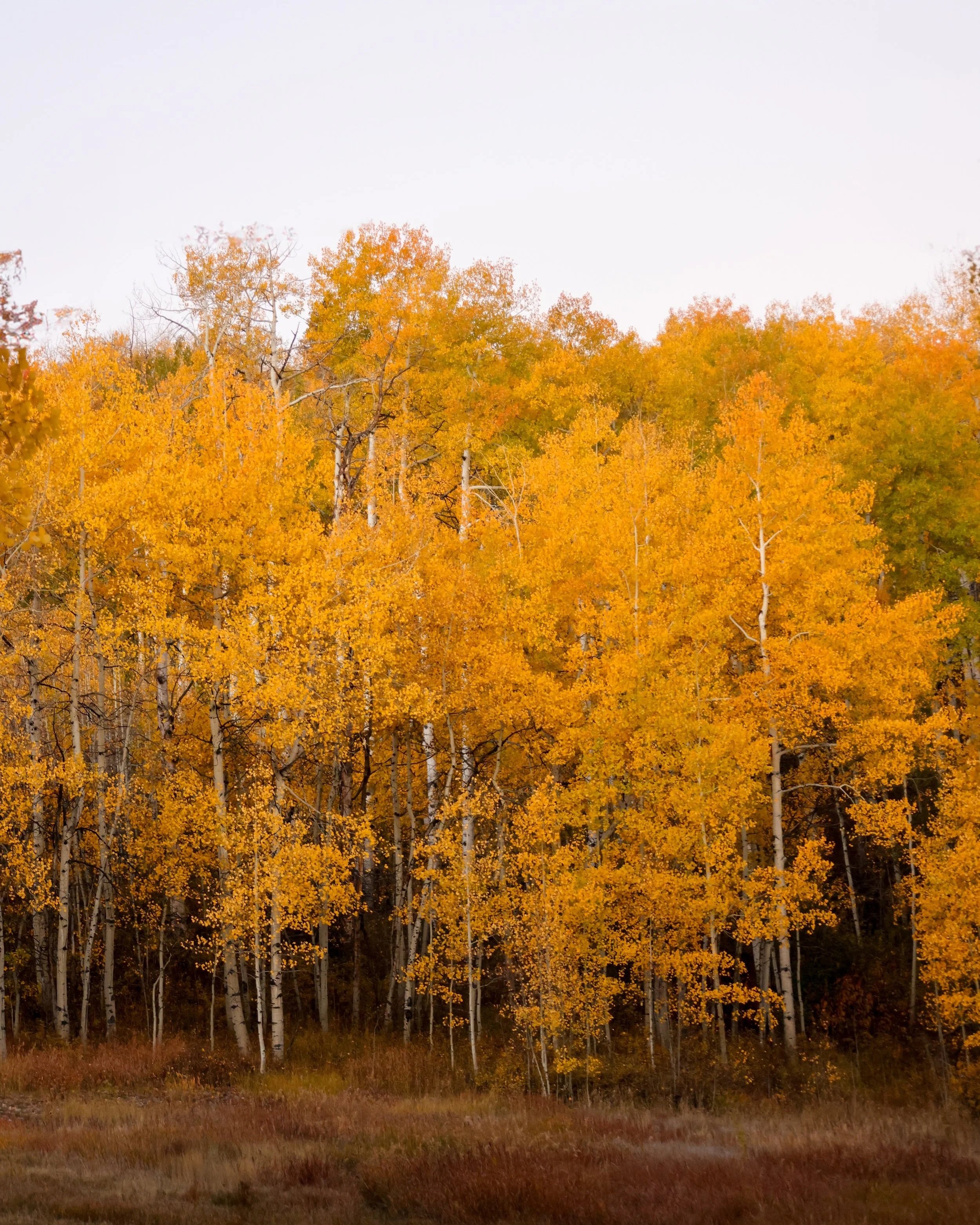 Snowmass Village, Colorado