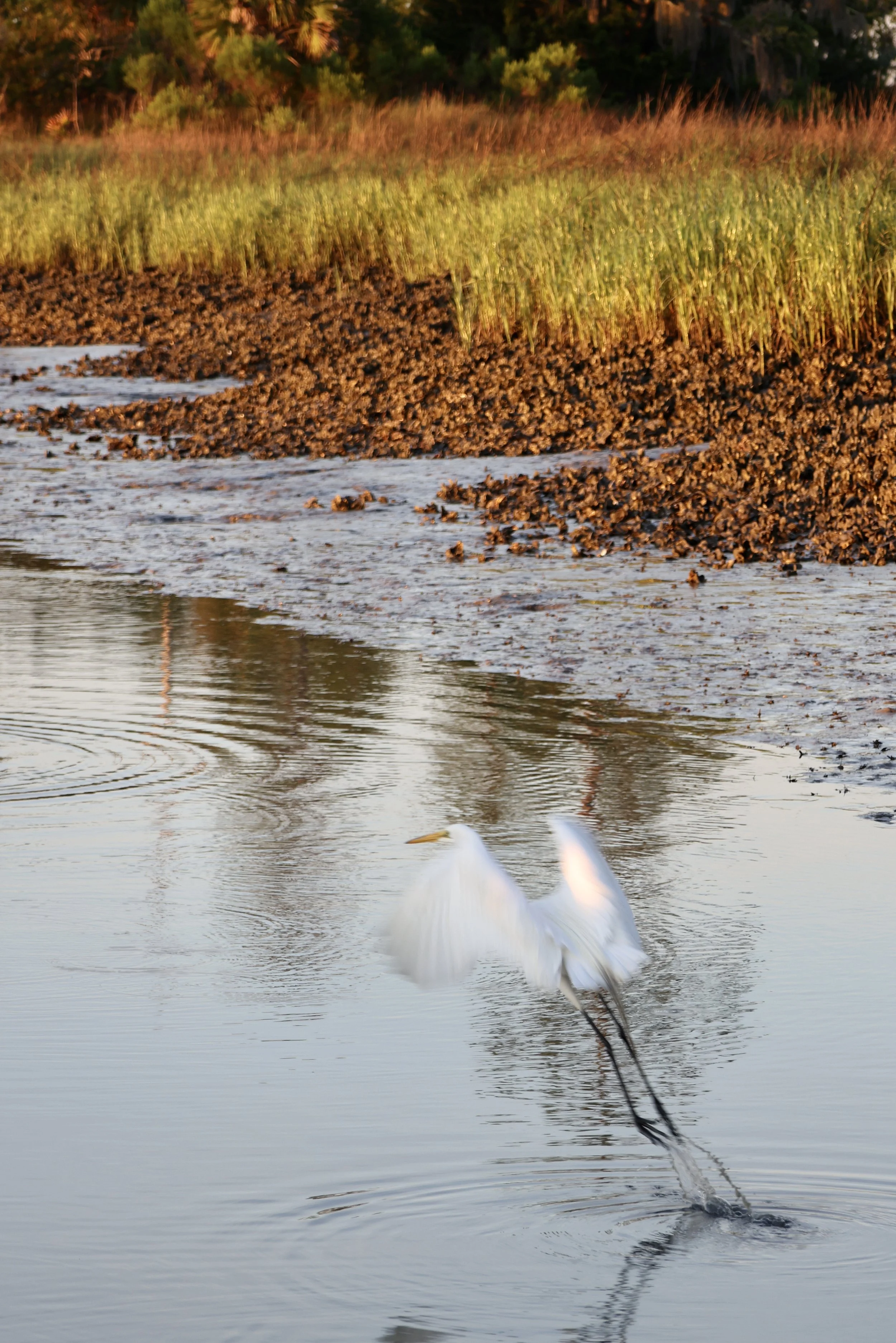 Bluffton, South Carolina