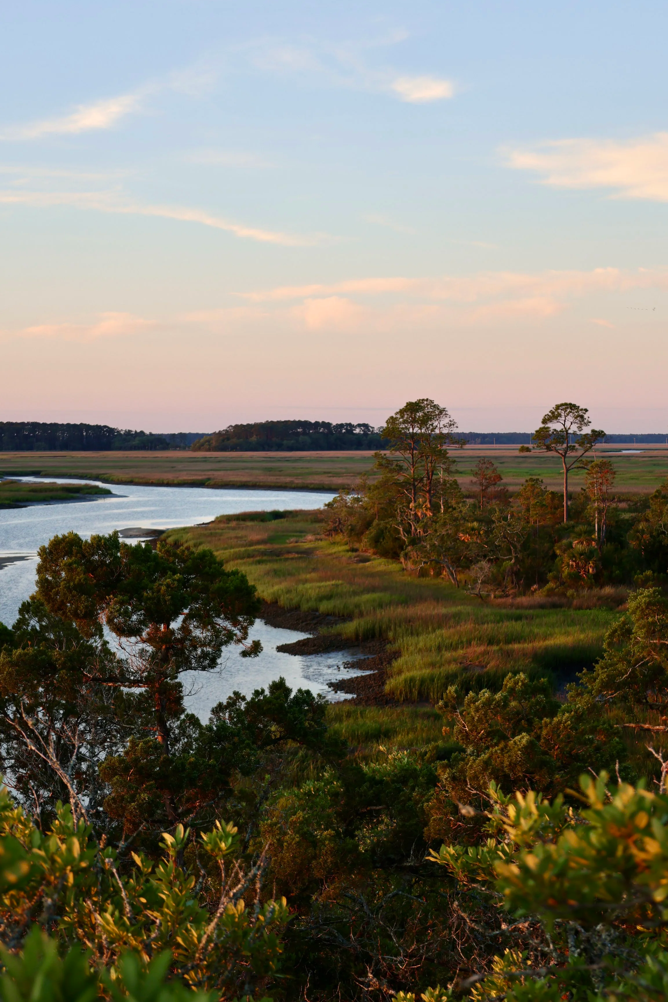 A scenic view of a winding river through a lush wetland, with trees and grasslands, under a partly cloudy sky during sunset.