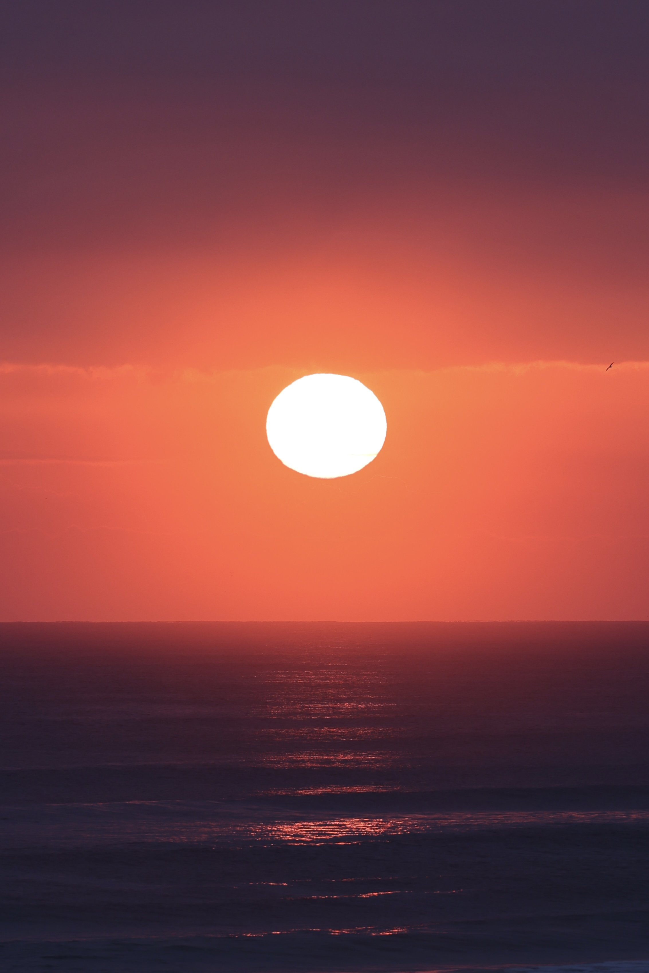 New Smyrna Beach, Florida