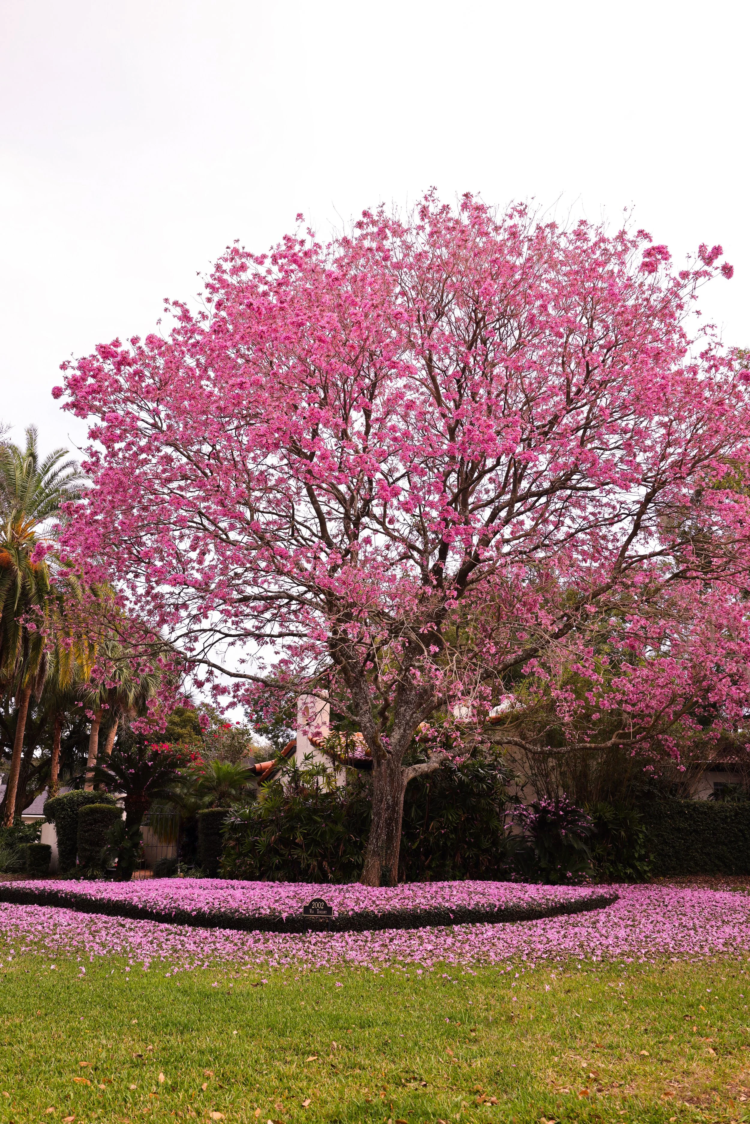 Winter Park, Florida