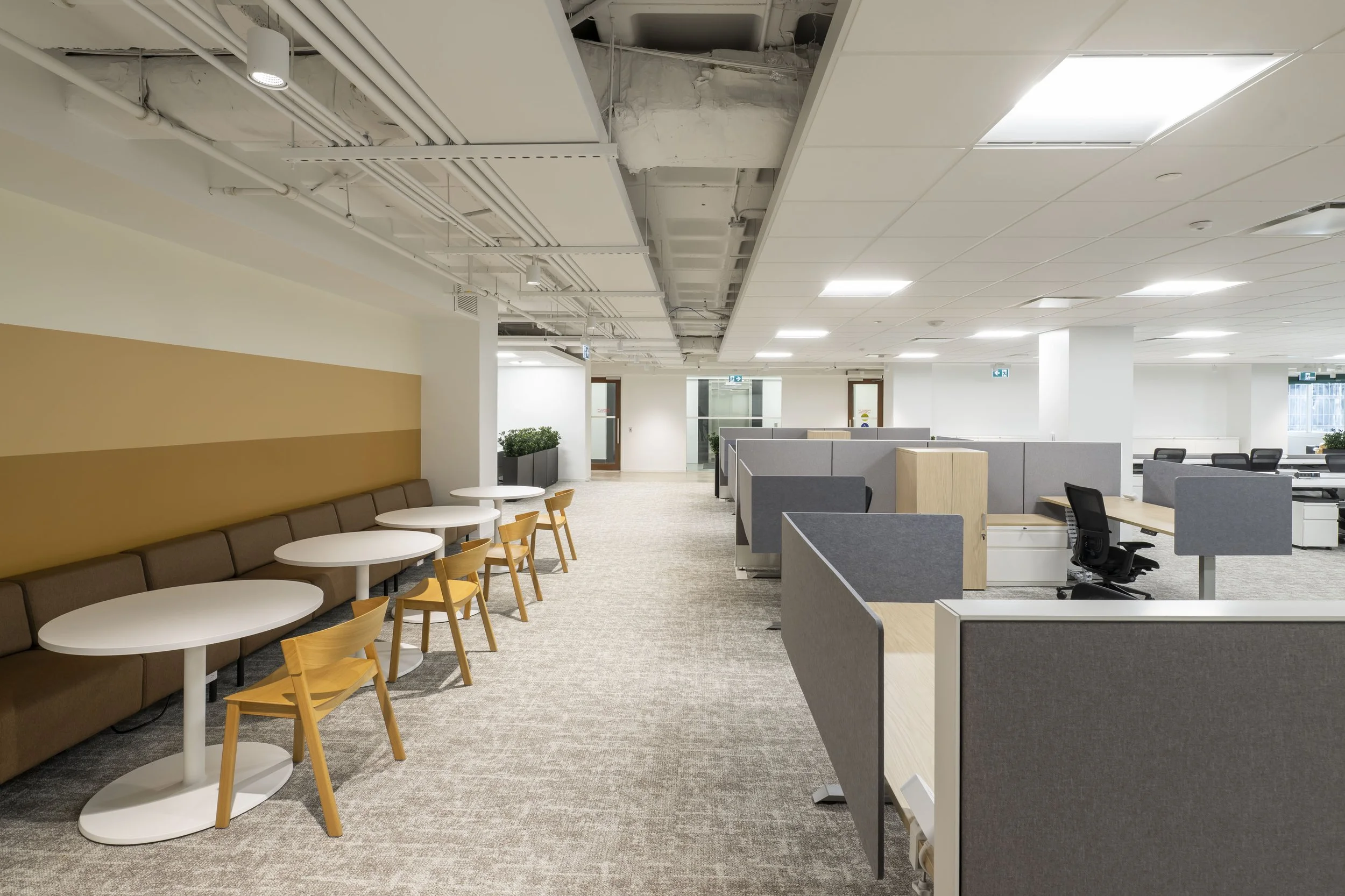 DSC_2752.jpg