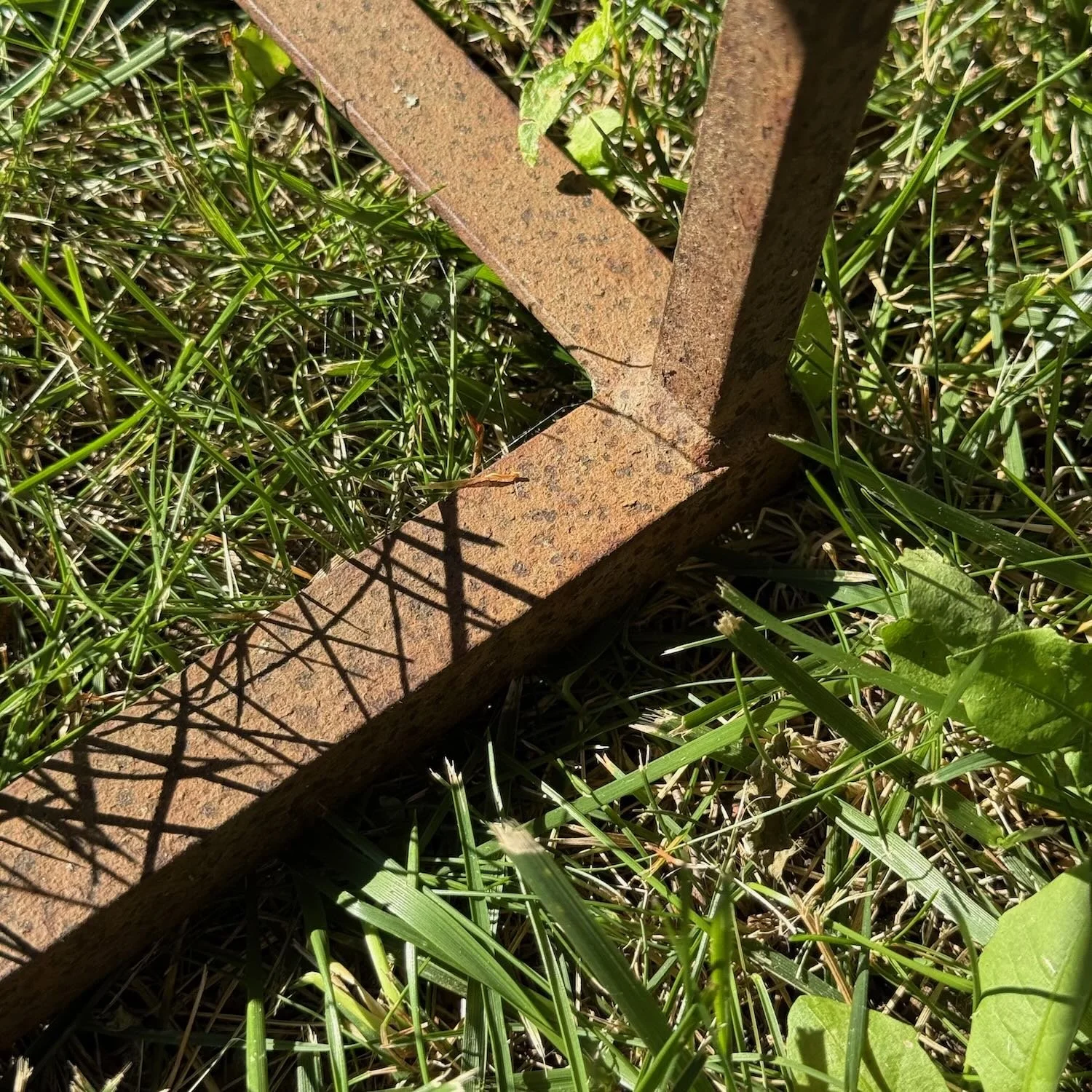 25082577 - 6.jpeg