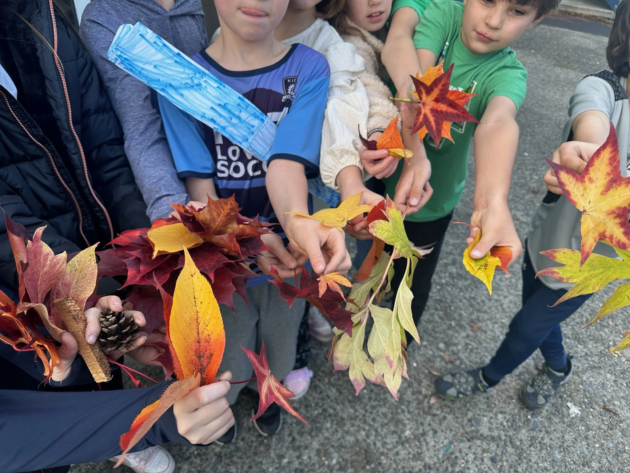 ballard aftercare art enrichment - BYC Kids