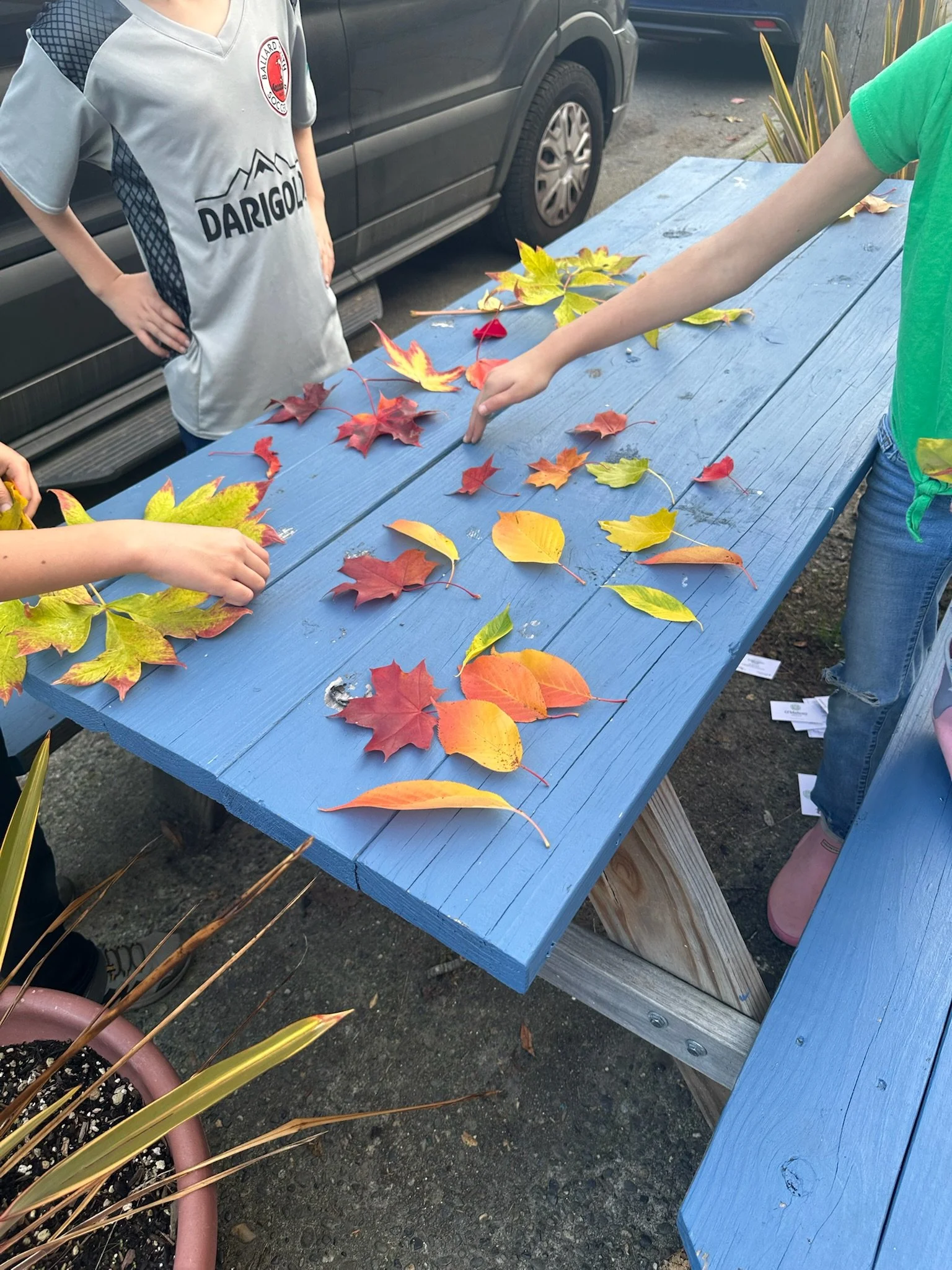 ballard aftercare art enrichment - BYC Kids