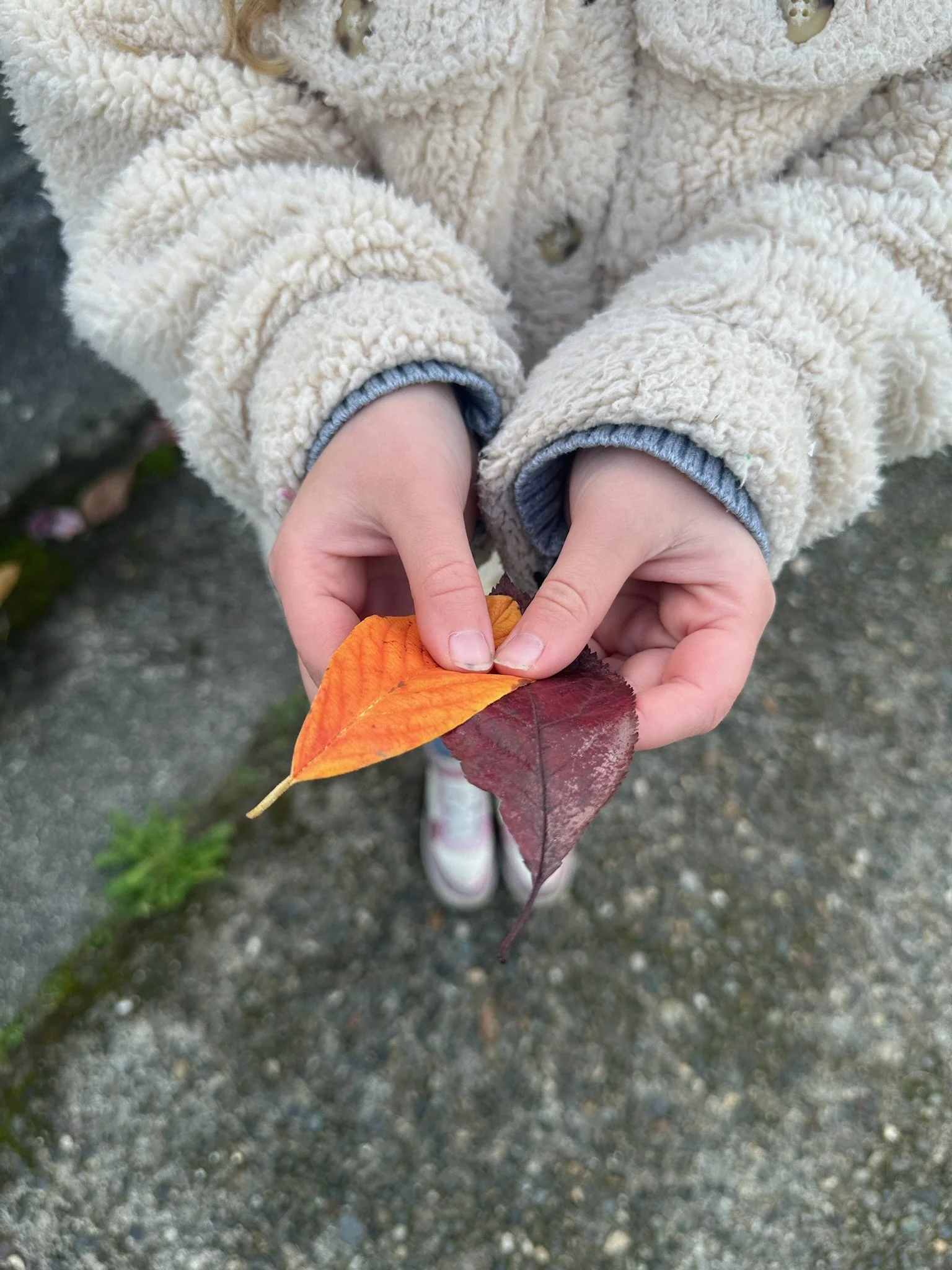 ballard aftercare art enrichment - BYC Kids