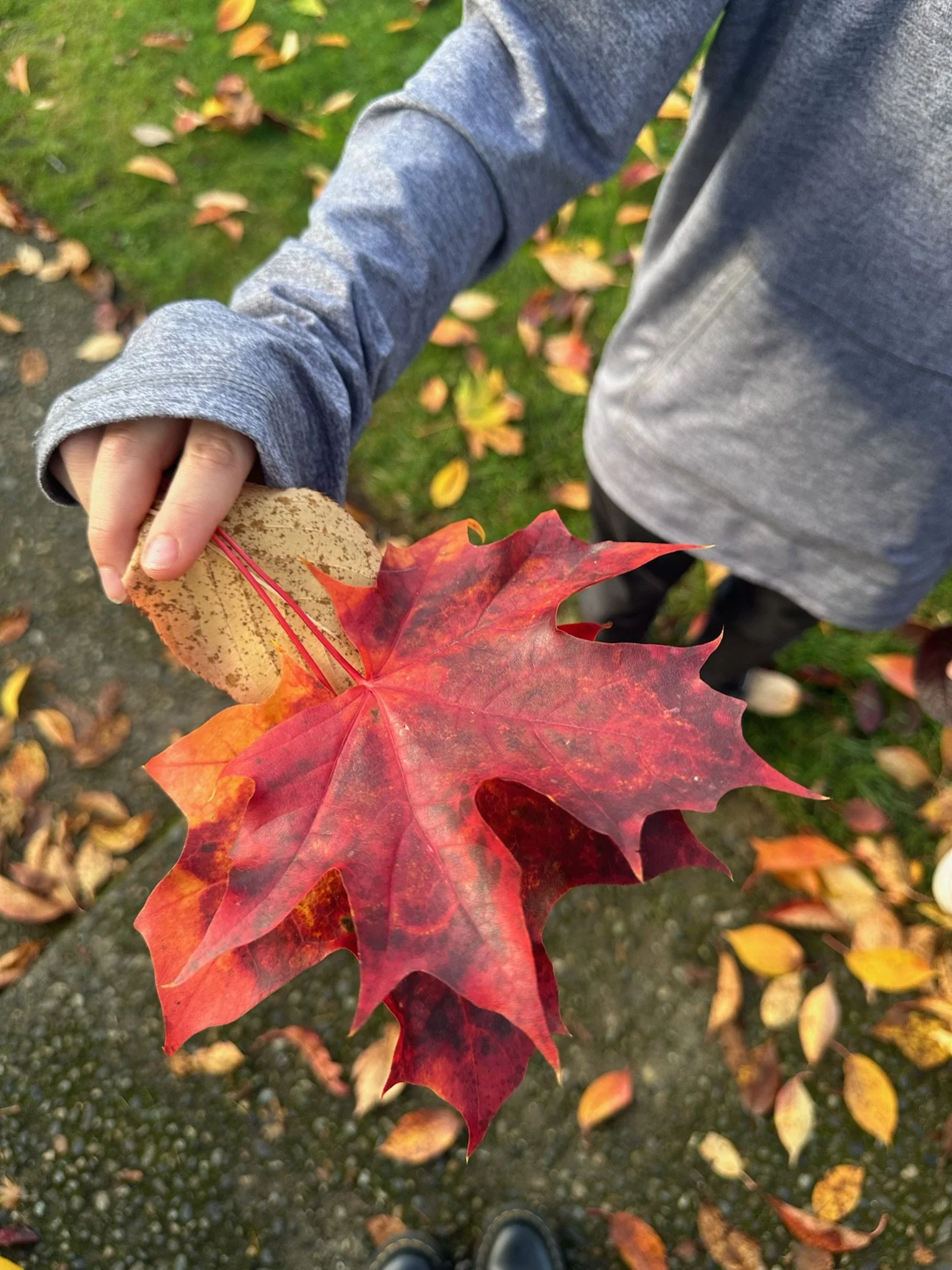 ballard aftercare art enrichment - BYC Kids