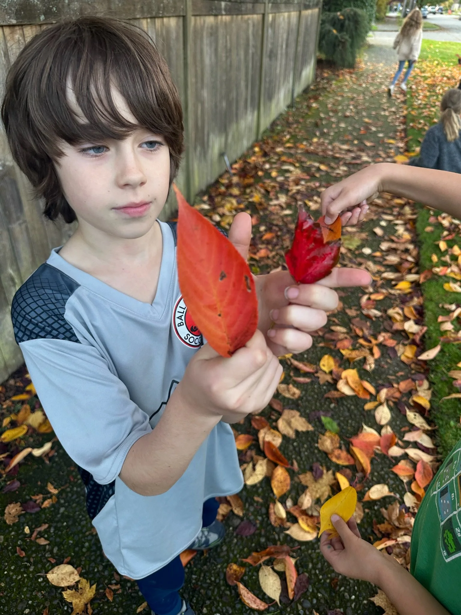 ballard aftercare art enrichment - BYC Kids