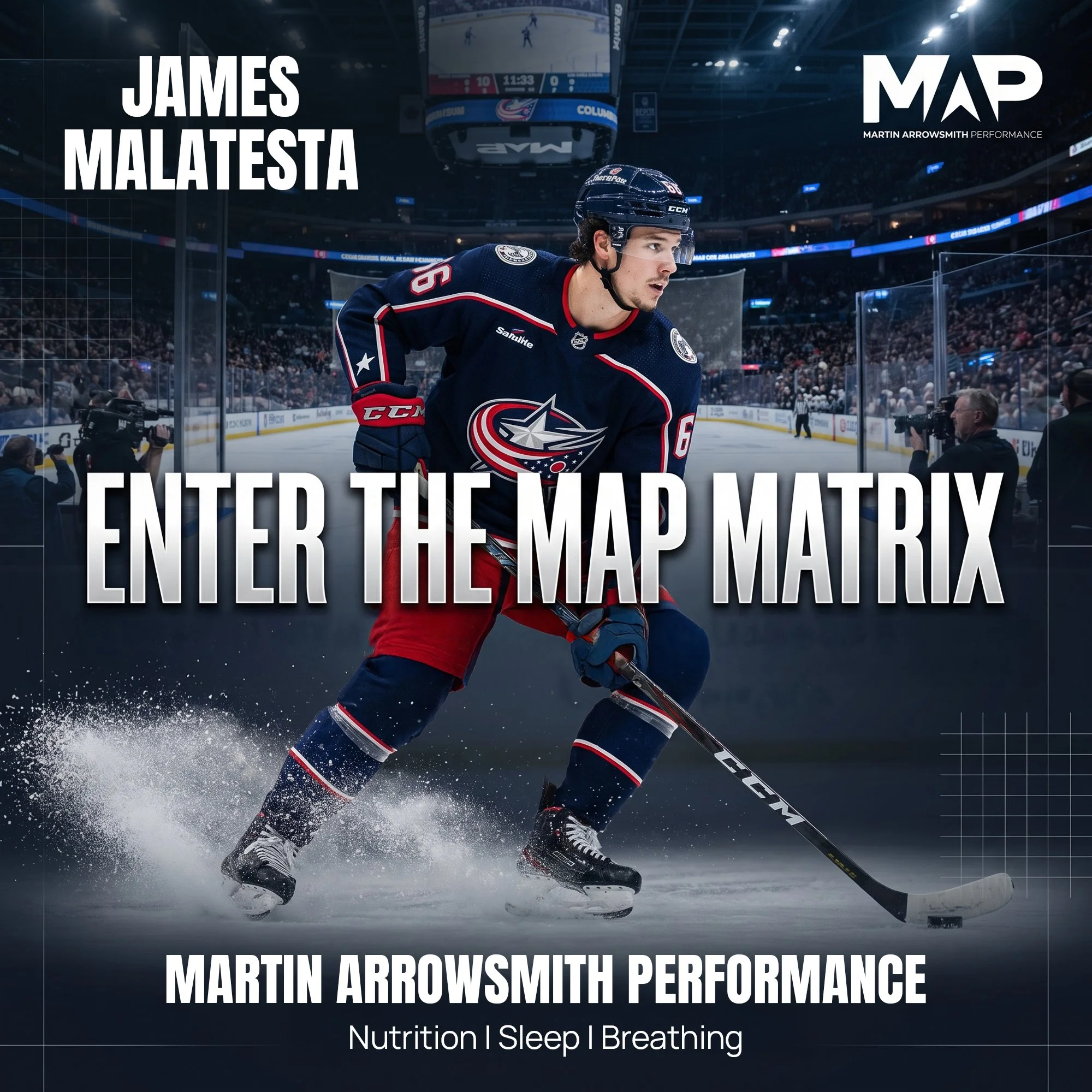 James Malatesta, AHL