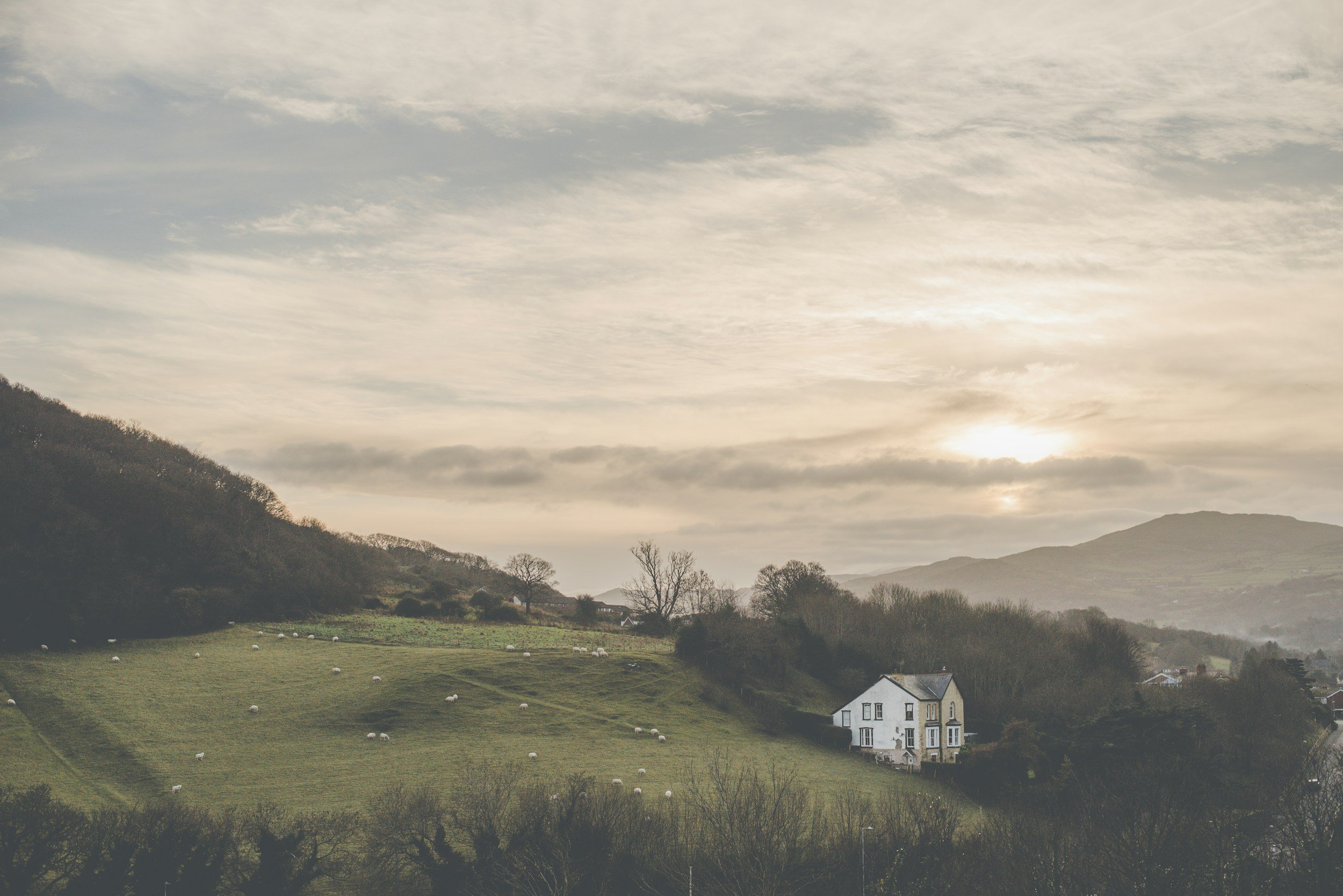 Scenic landscape of rolling green hills with trees, a white house, and sheep, under a partly cloudy sky during sunset.
