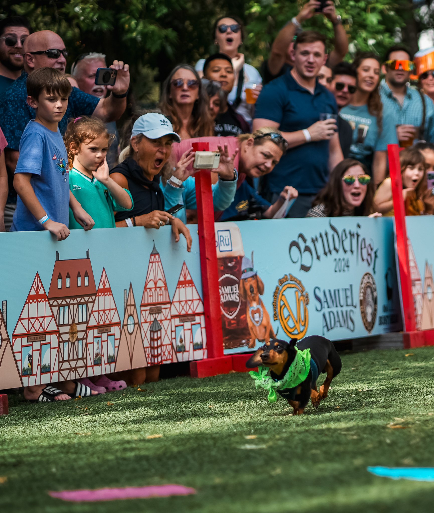 A small black and tan dog wearing a bright green bandana running on a grassy field in front of a crowd of people at an outdoor event.
