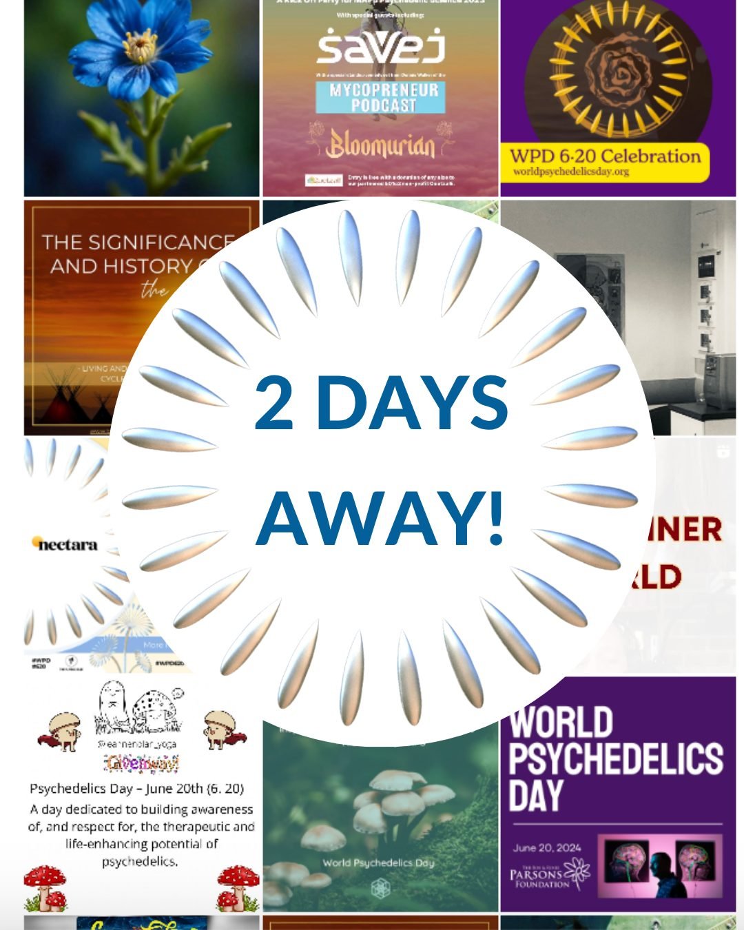⏳ Just 2 days until World Psychedelics Day!

Still wondering how to take part?
Get inspired by how communities around the world have celebrated WPD &mdash; from storytelling and science to ceremony and art.

However you show up, make it intentional.
