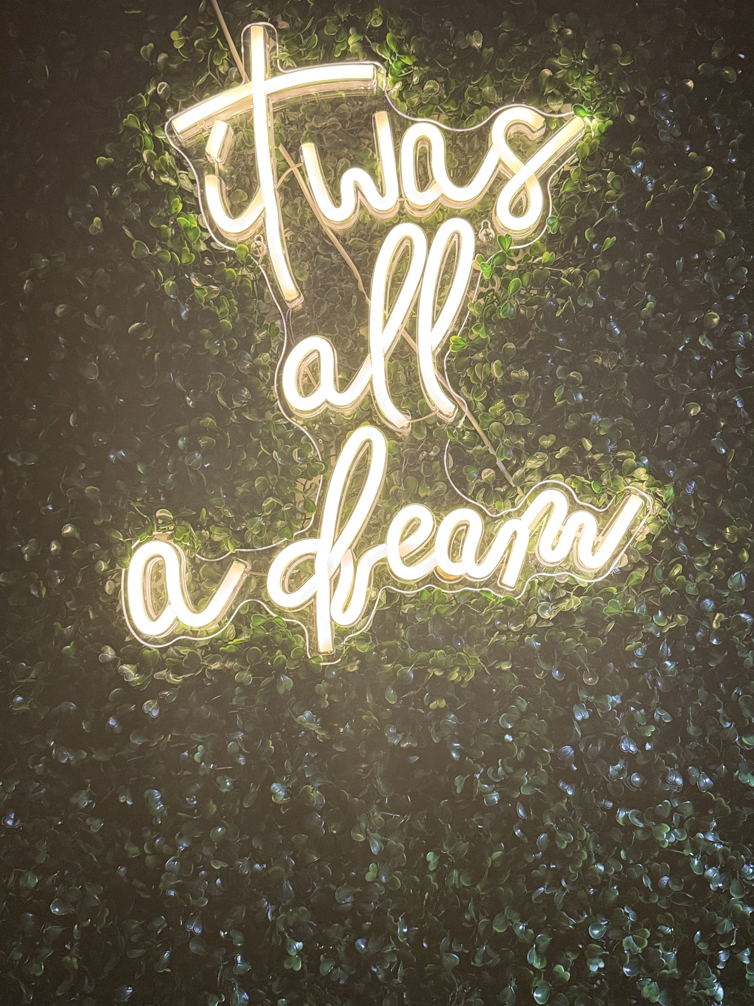 Neon sign reading "it was all a dream" on a leafy green wall background.