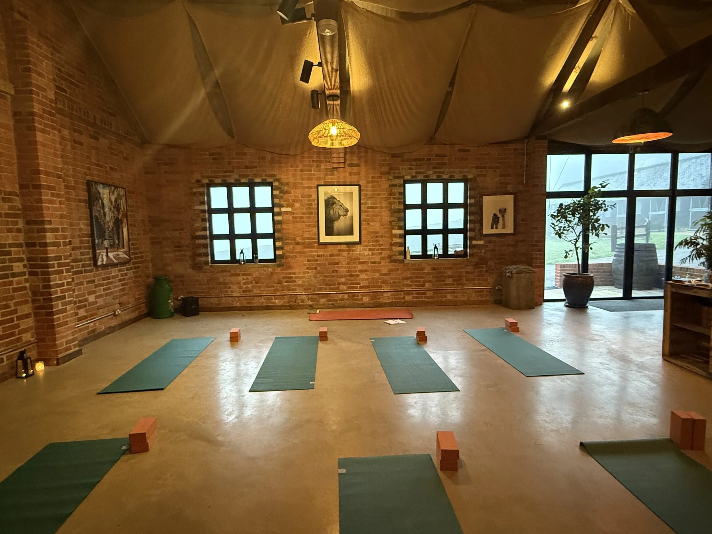 Drop in Yoga 23rd/ 24th Feb