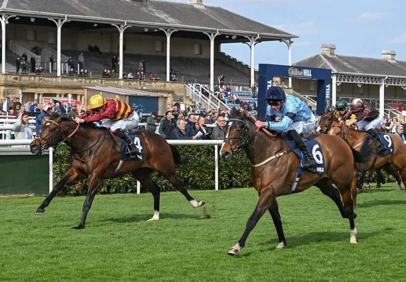 Highclere Agency had a great start to the season last weekend with a stakes winning double! 🥇🥇

🥇Spycatcher won the Cammidge Trophy Listed @doncasterraces - bought by Highclere Agency for 90,000gns @tattersalls1766 Craven Breeze Up&rsquo;s.

🥇Sop