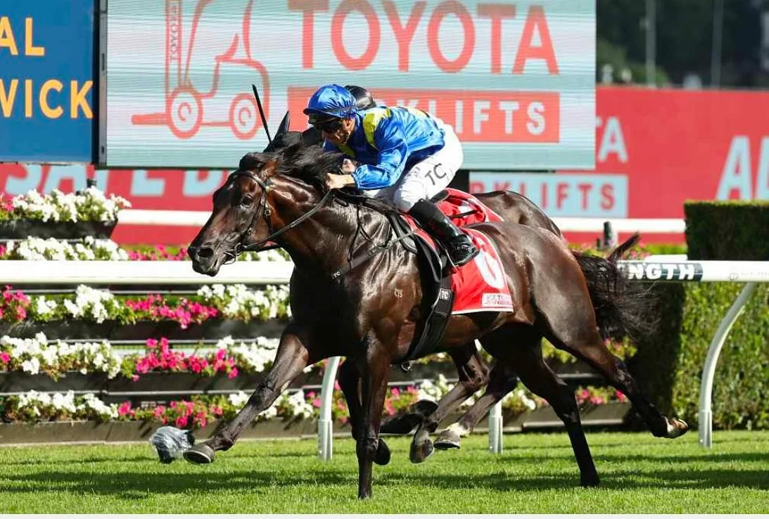 ⭐️ New Group 1 Winner for Highclere Agency! Purchased as a yearling @tattersalls1766 for 62,000gns 

🐎 Royal Patronage wins Gr.1 Canterbury Stakes @royal_randwick_racecourse for @gai_waterhouse and connections. 👏🏻👏🏻

More Gr.1 success for the am