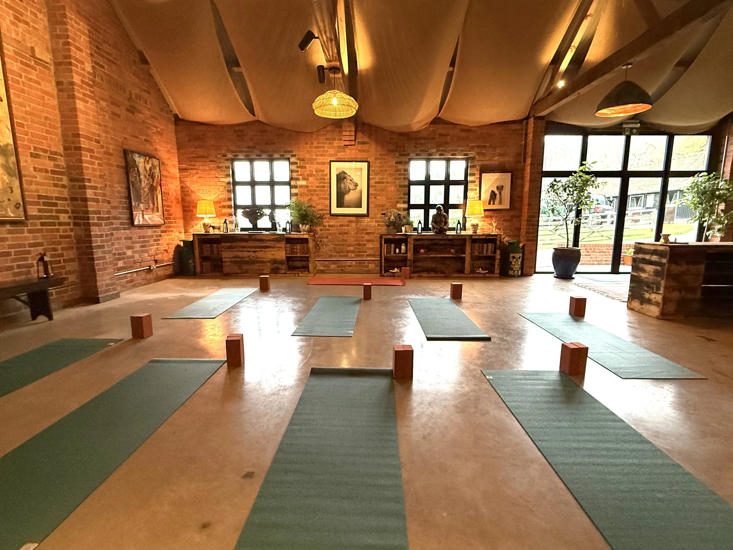 IMG_9544.jpeg (Copy)