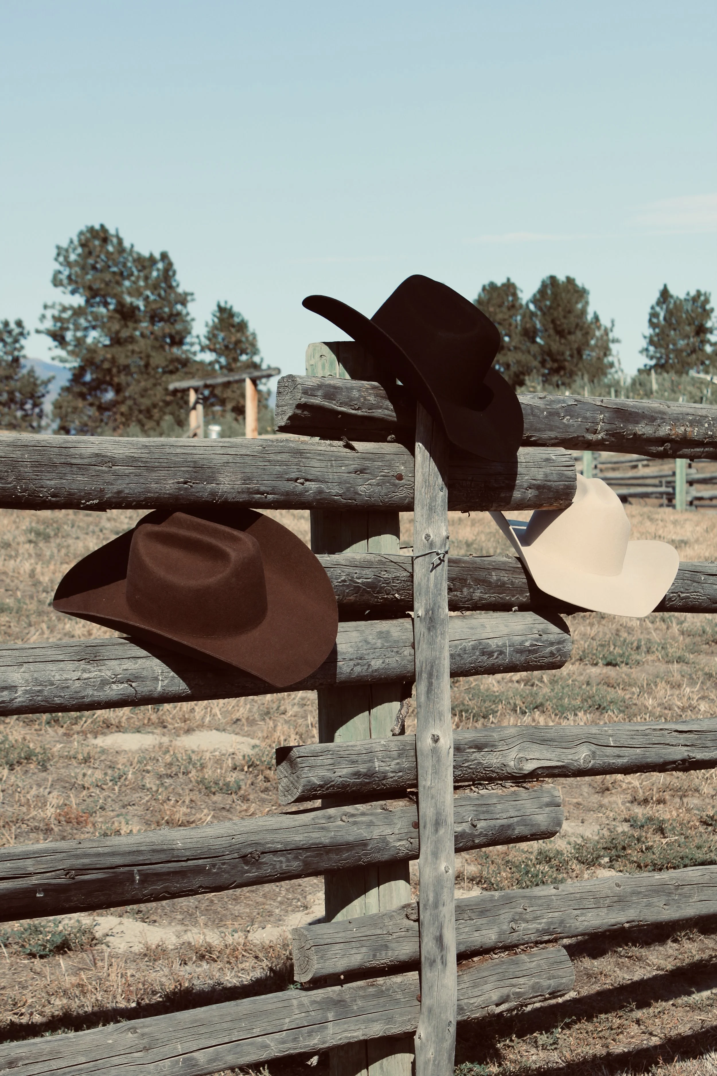 Curved Cattleman Retail