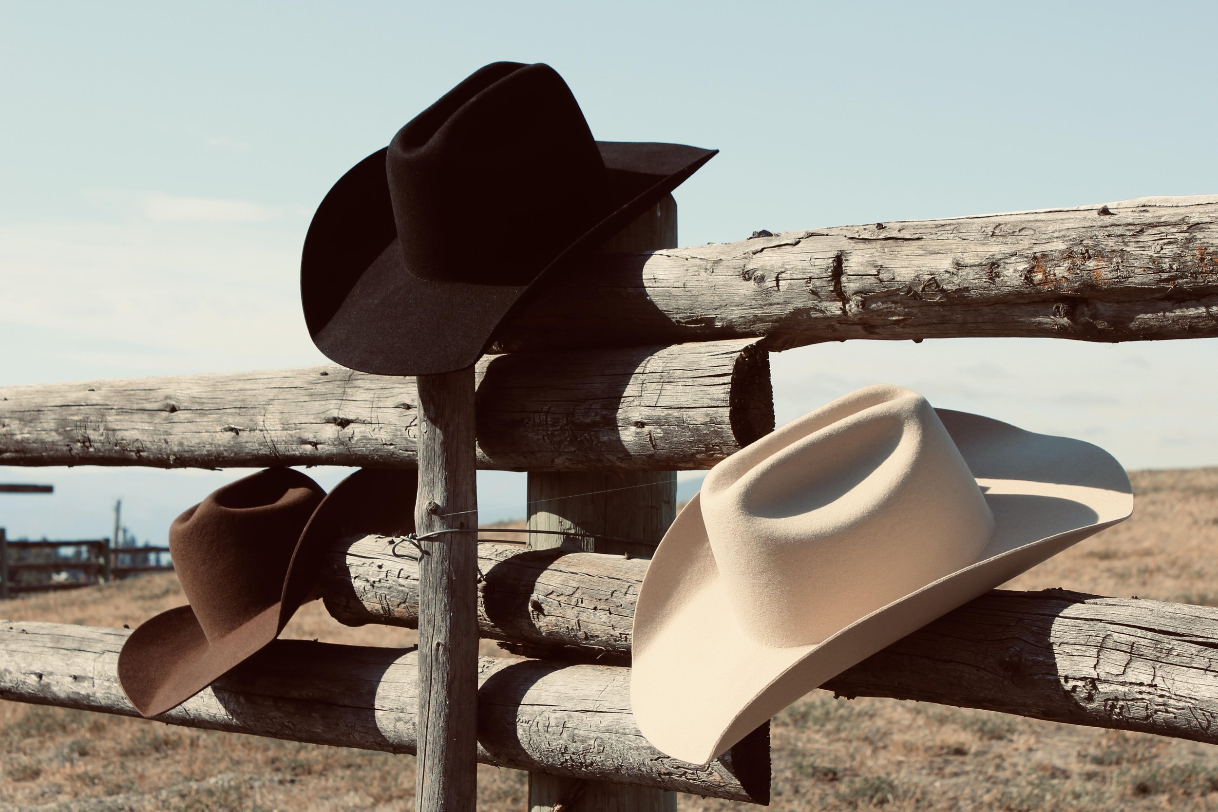 Cattleman Coloured Bases - Edited.jpg