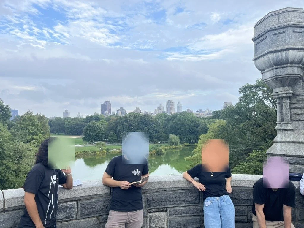 Participants of the walk at a balustrade above Central Park